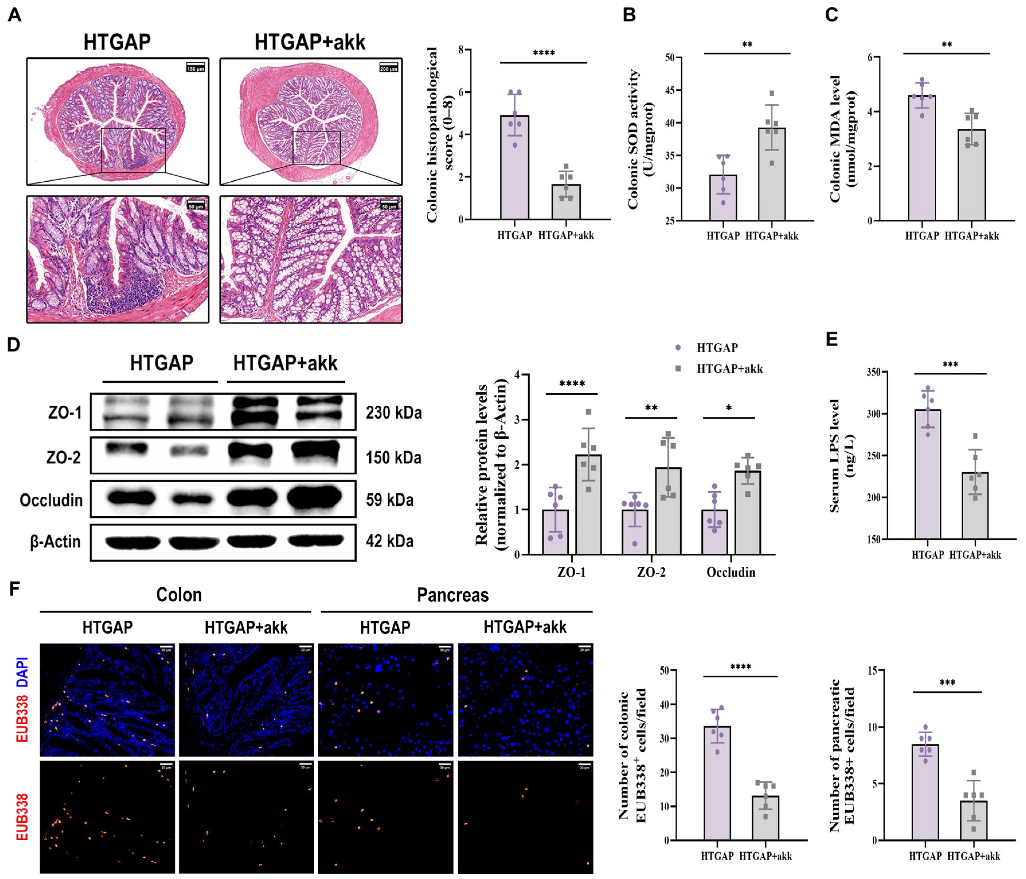 Antioxidants 14 01284 g008