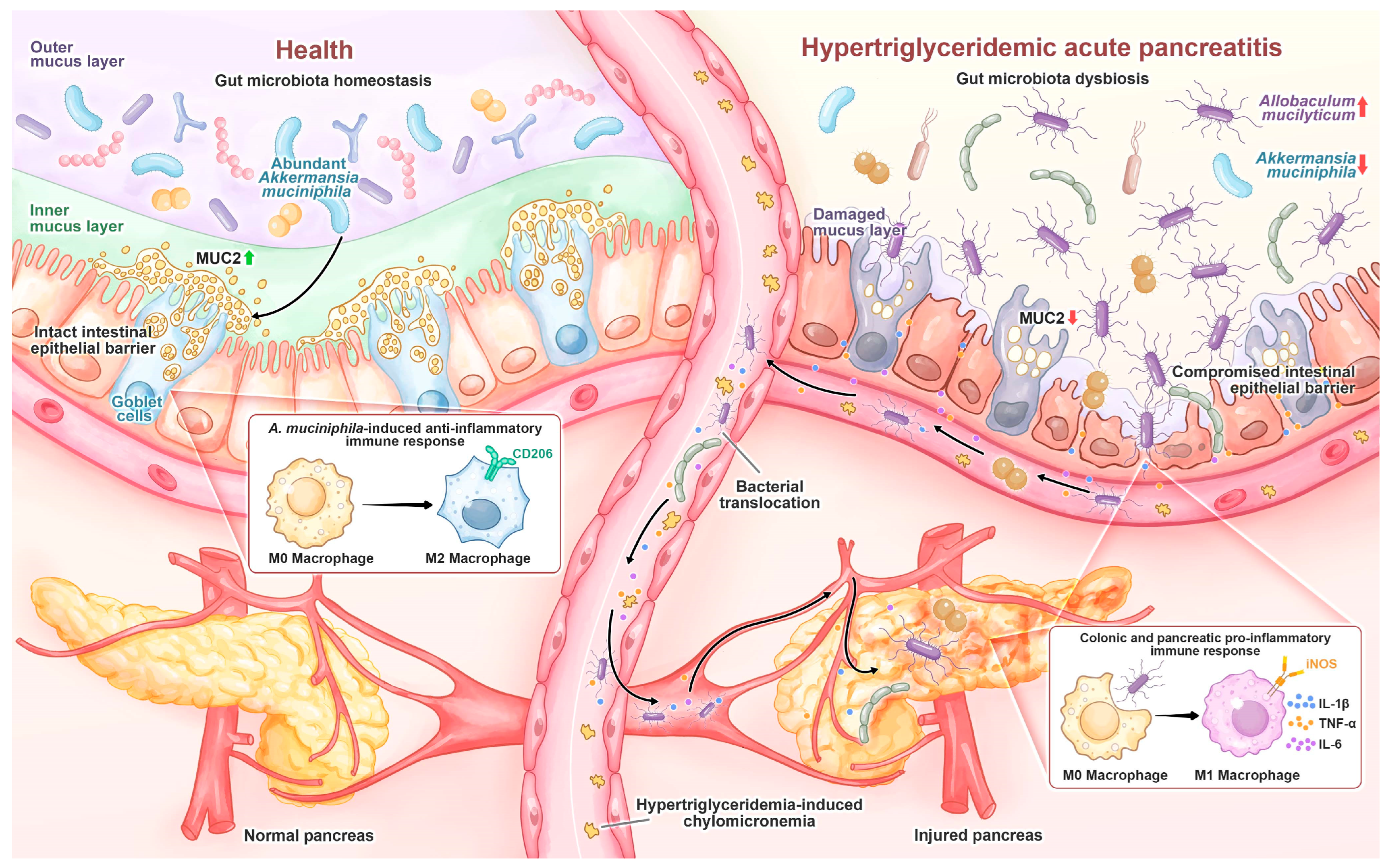 Antioxidants 14 01284 g009