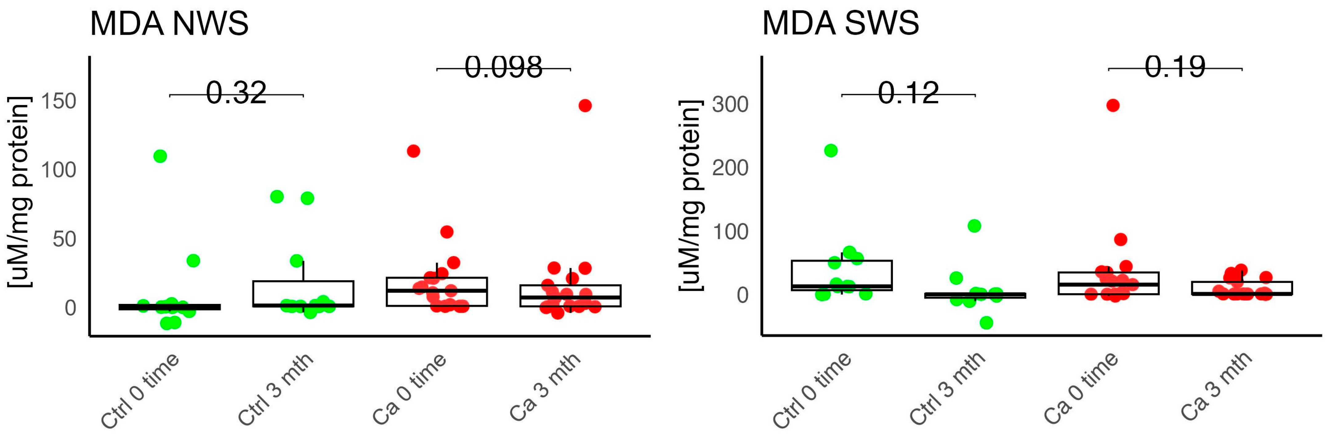 Antioxidants 14 01285 g009 Antioxidants 14 01285 g009