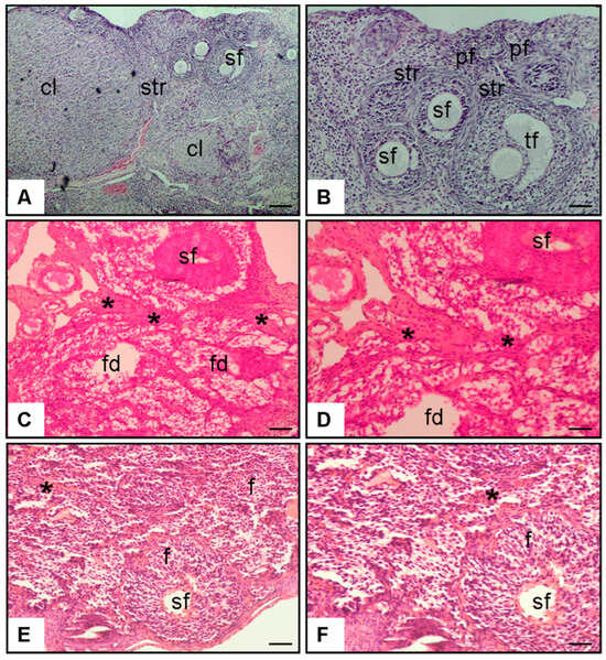 Antioxidants 14 01294 g004 Antioxidants 14 01294 g004