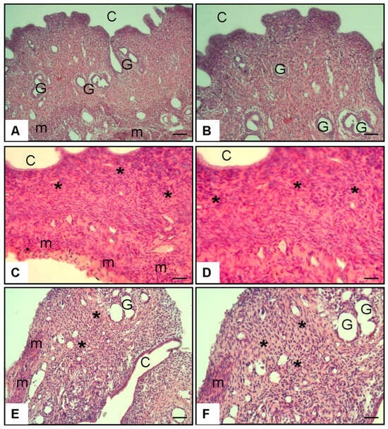 Antioxidants 14 01294 g005 Antioxidants 14 01294 g005