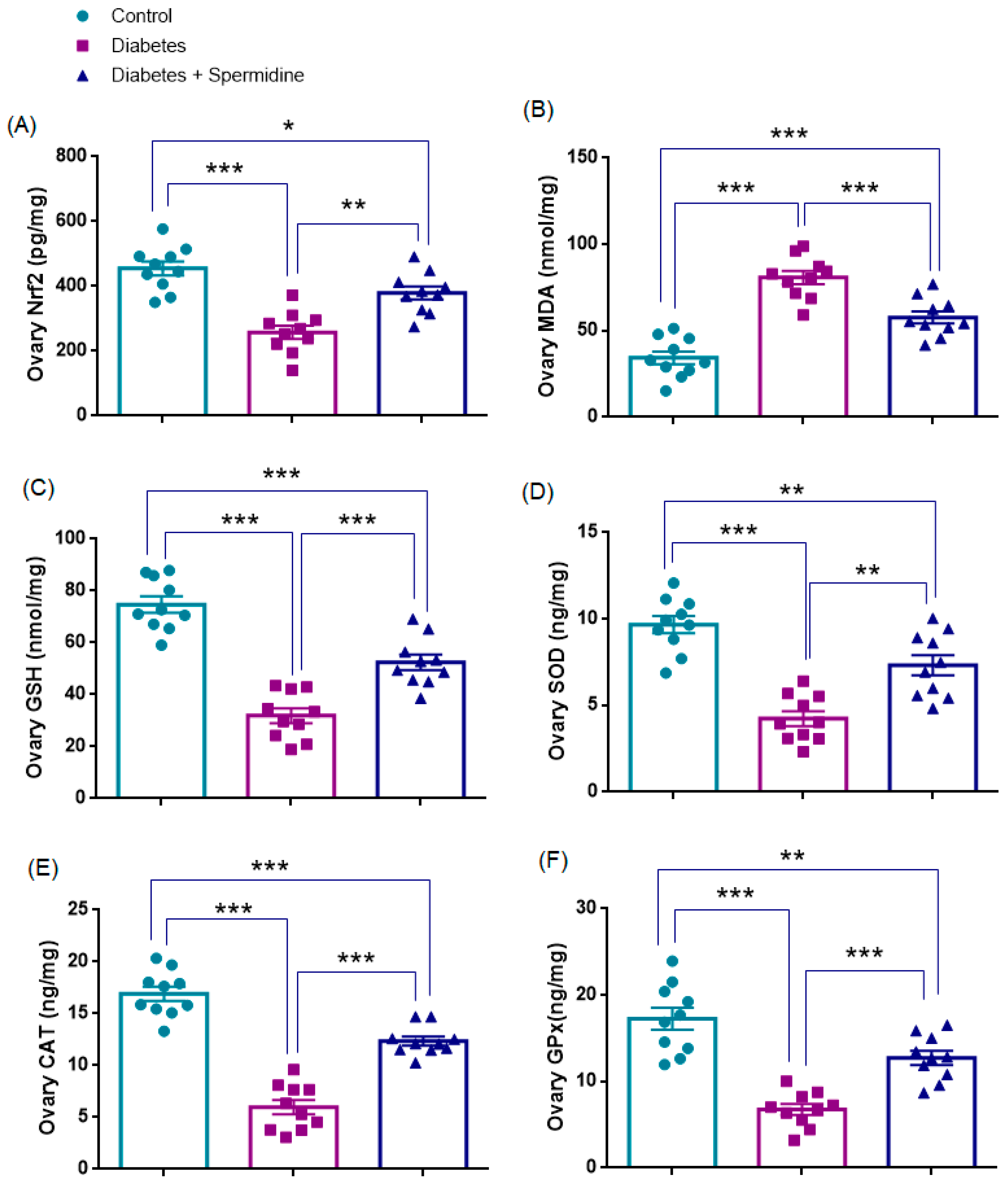 Antioxidants 14 01294 g006 Antioxidants 14 01294 g006