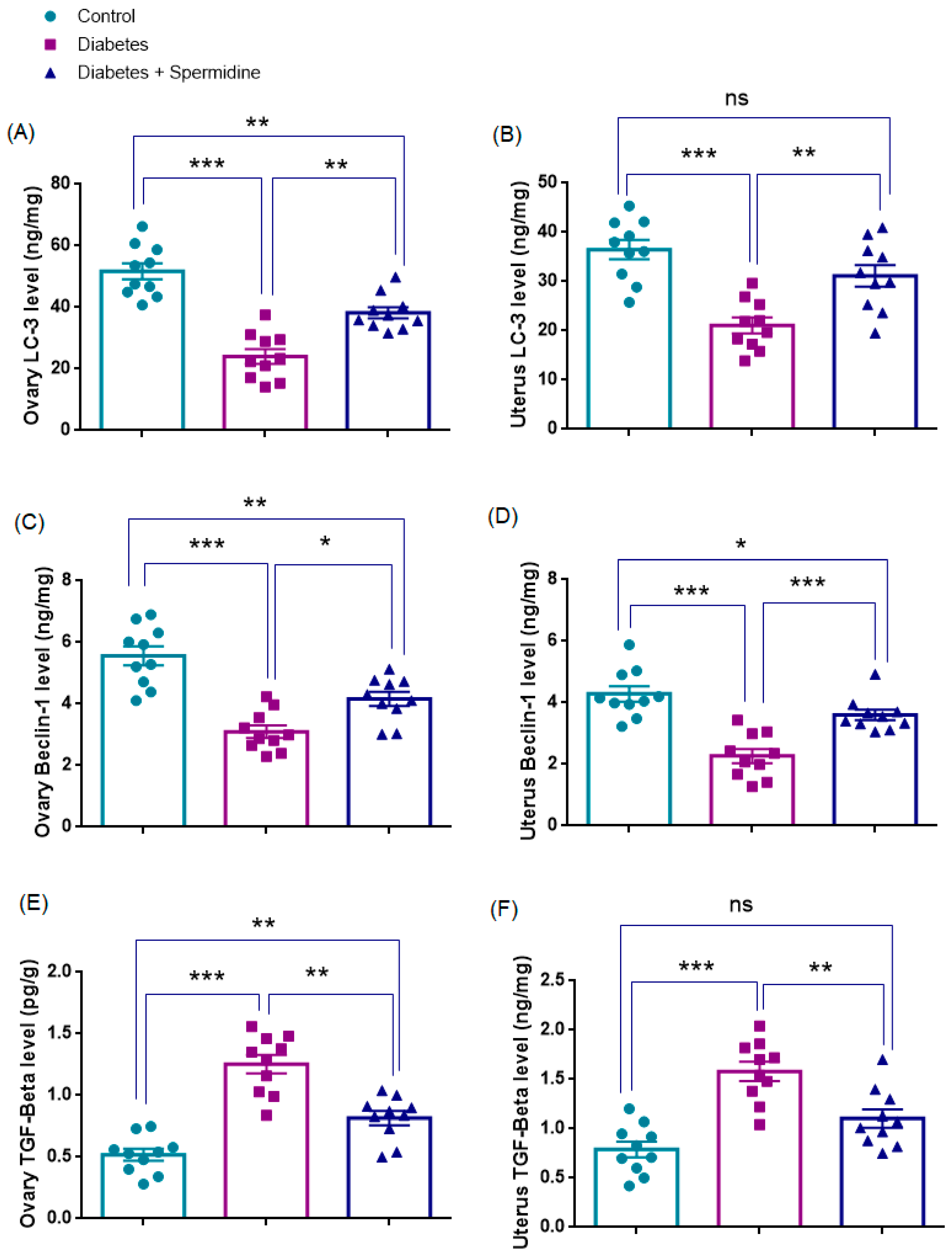 Antioxidants 14 01294 g008 Antioxidants 14 01294 g008