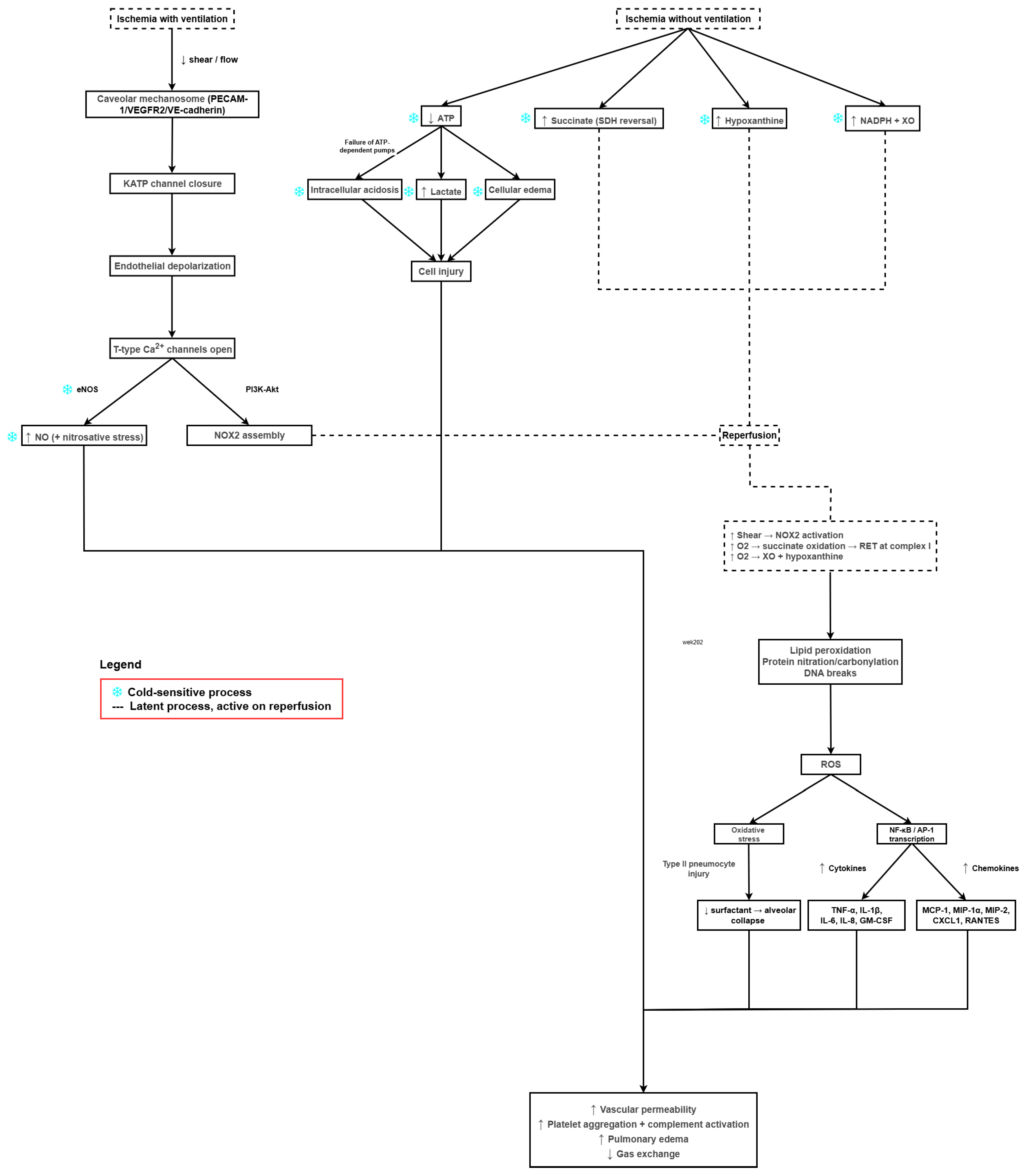Antioxidants 14 01295 g001