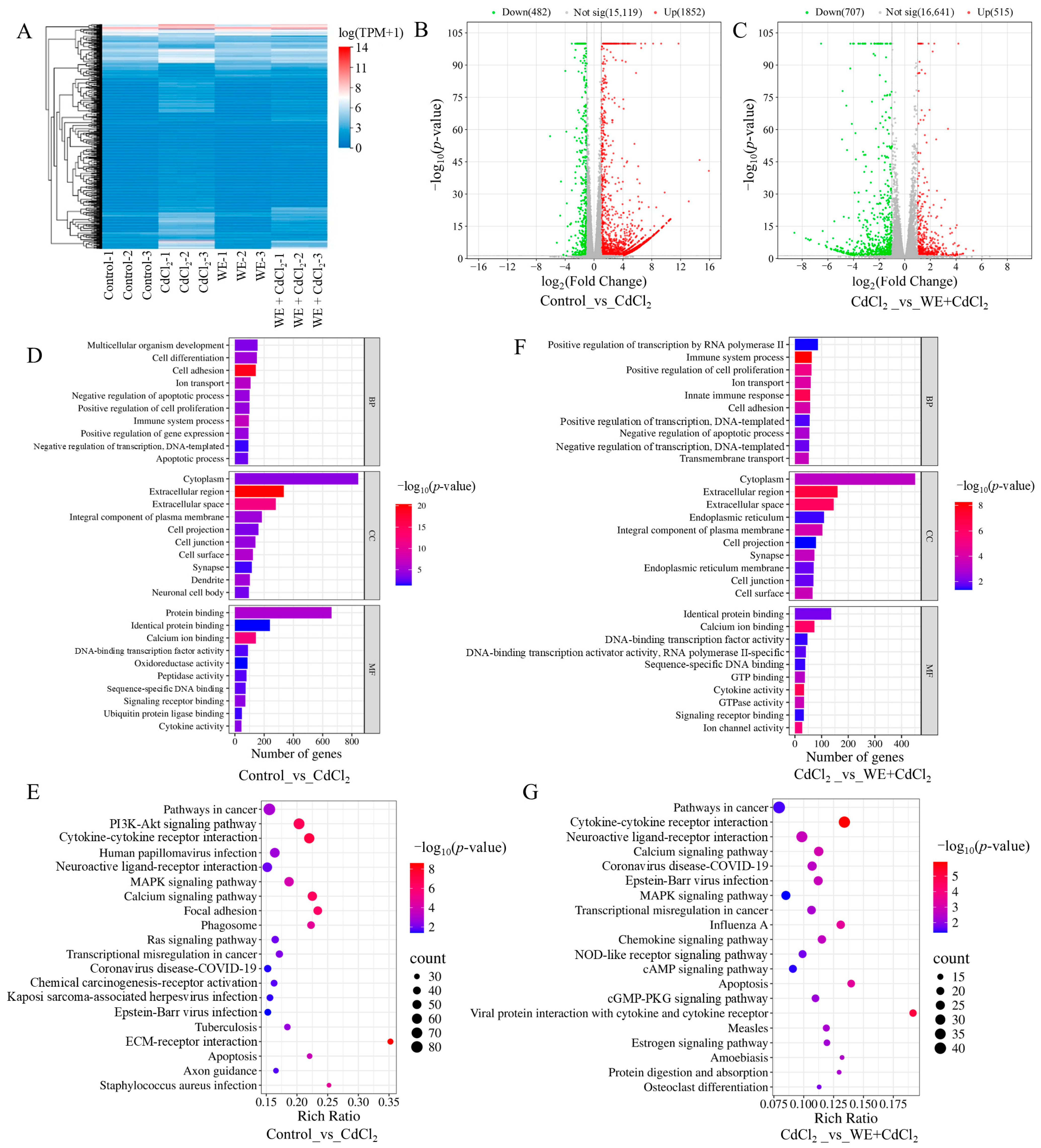 Antioxidants 14 01297 g004