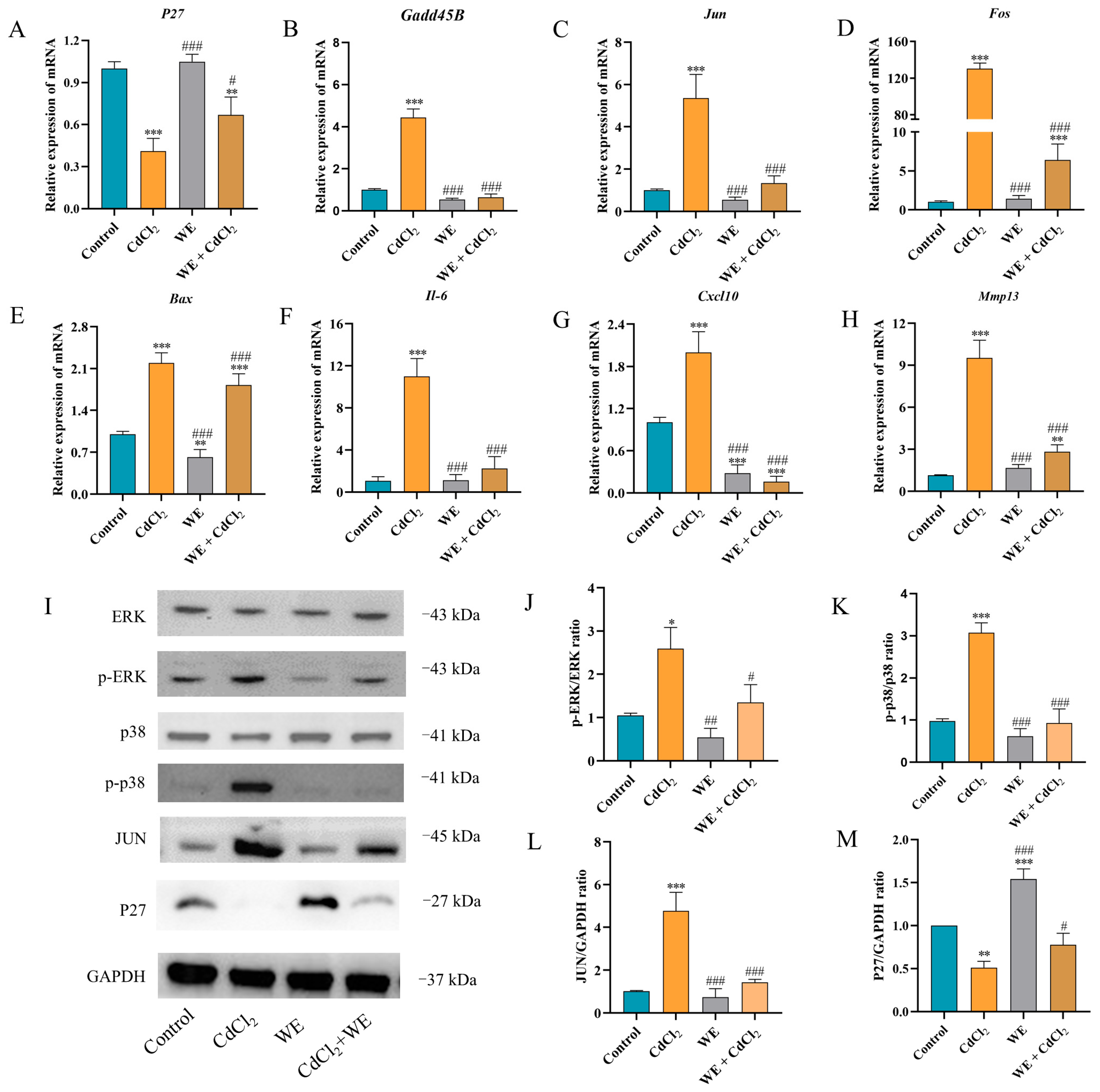Antioxidants 14 01297 g007