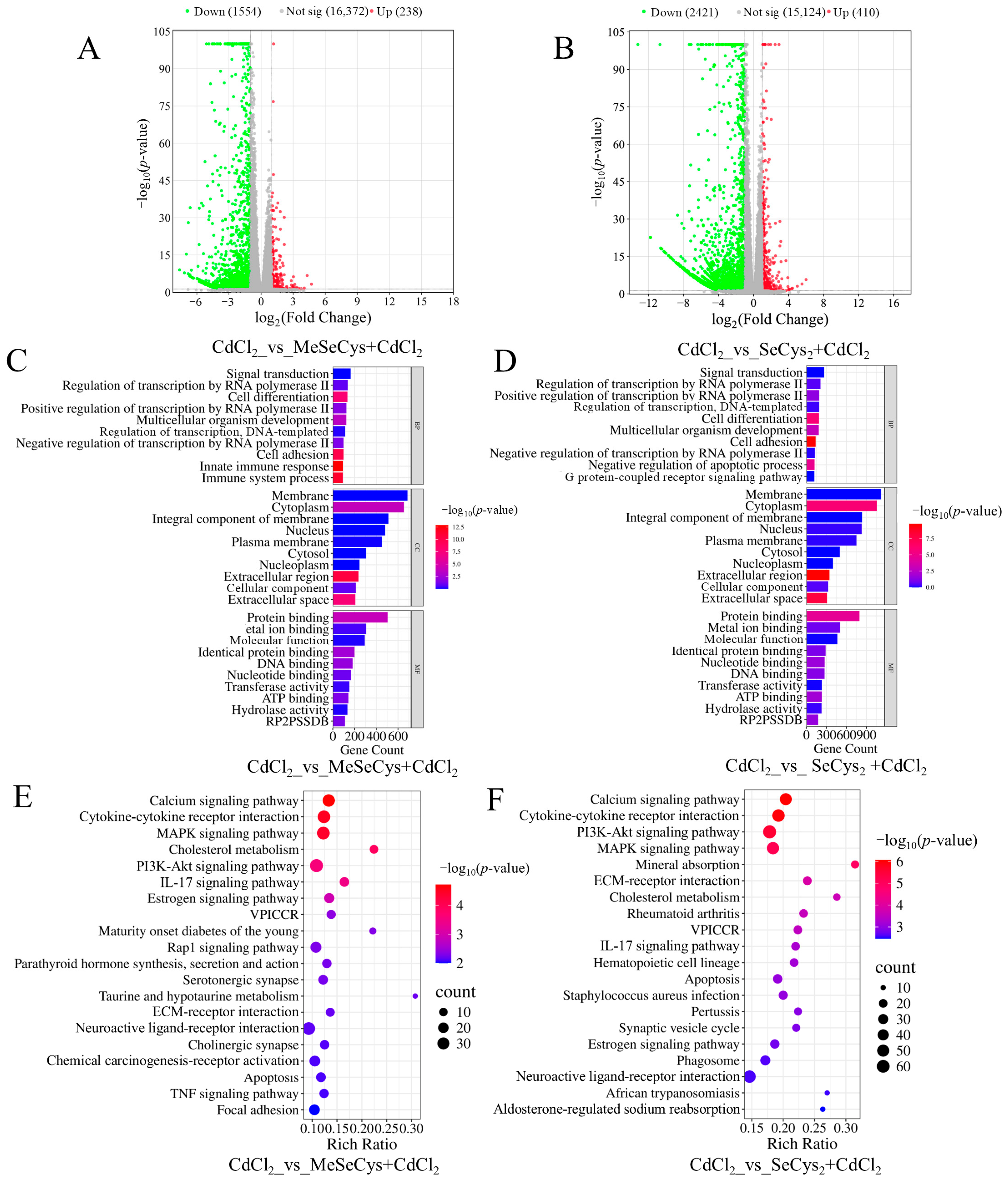 Antioxidants 14 01297 g008