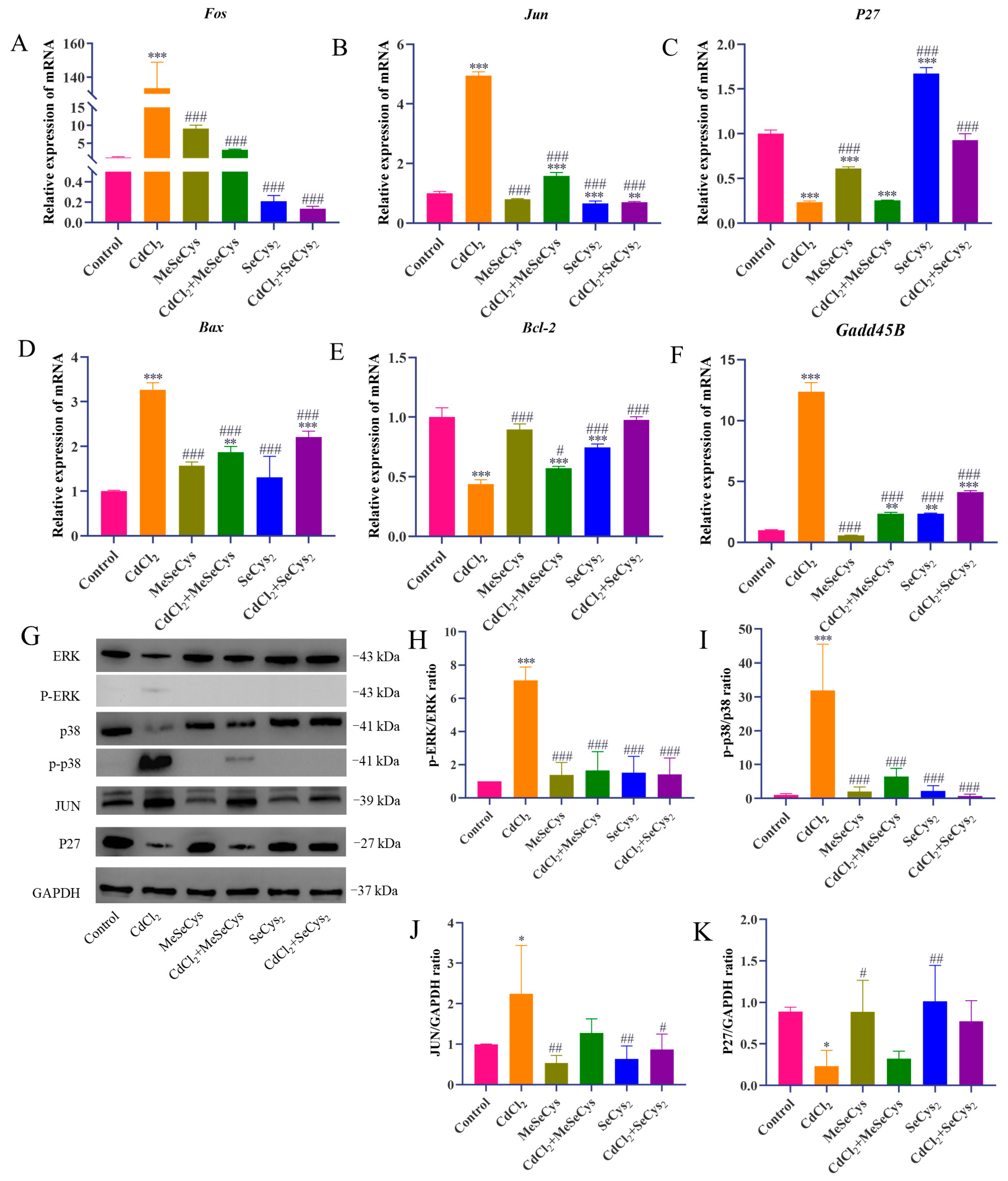 Antioxidants 14 01297 g010