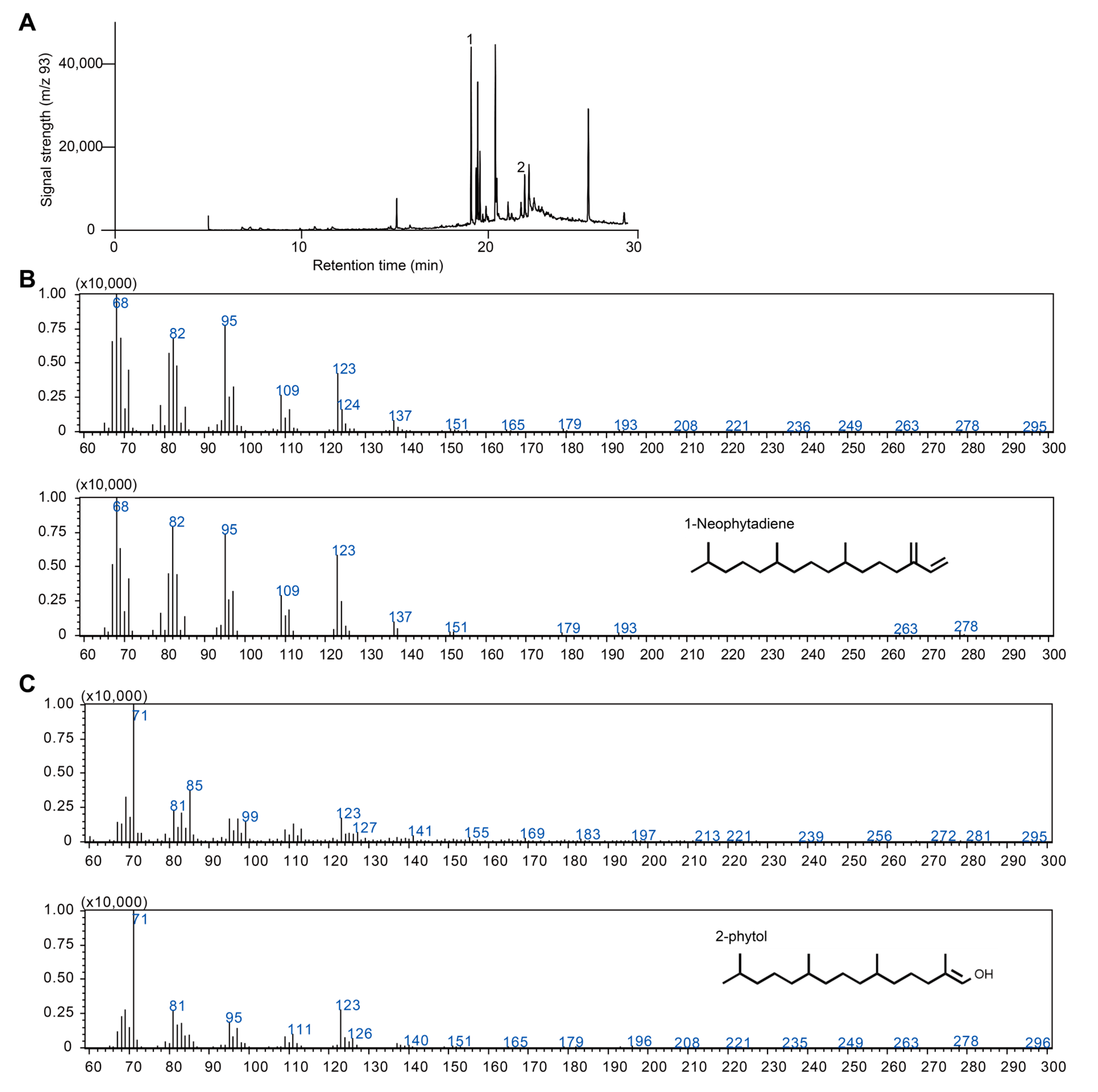 Antioxidants 14 01303 g002