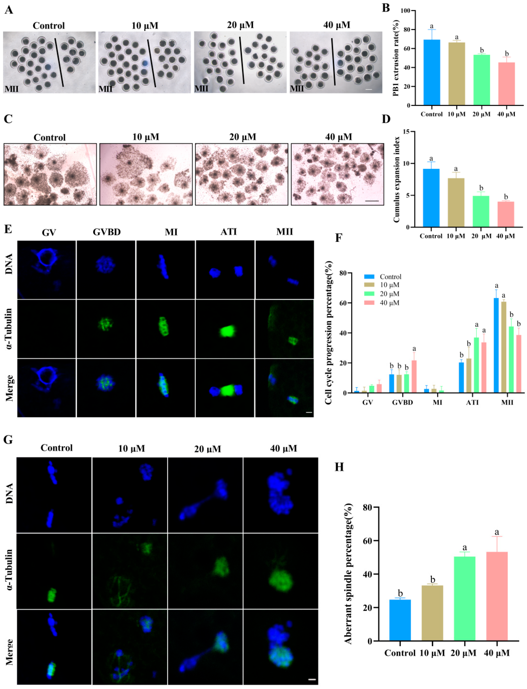Antioxidants 14 01304 g001 Antioxidants 14 01304 g001