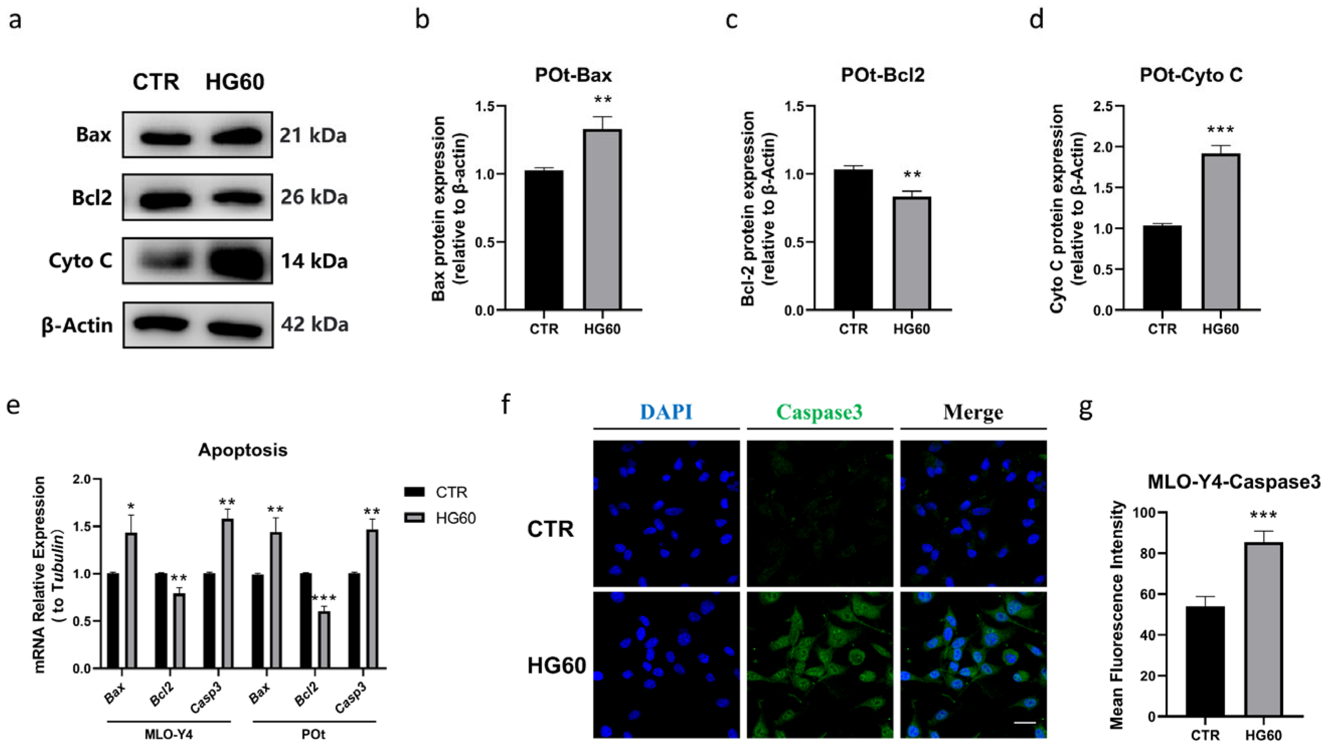 Antioxidants 14 01306 g003