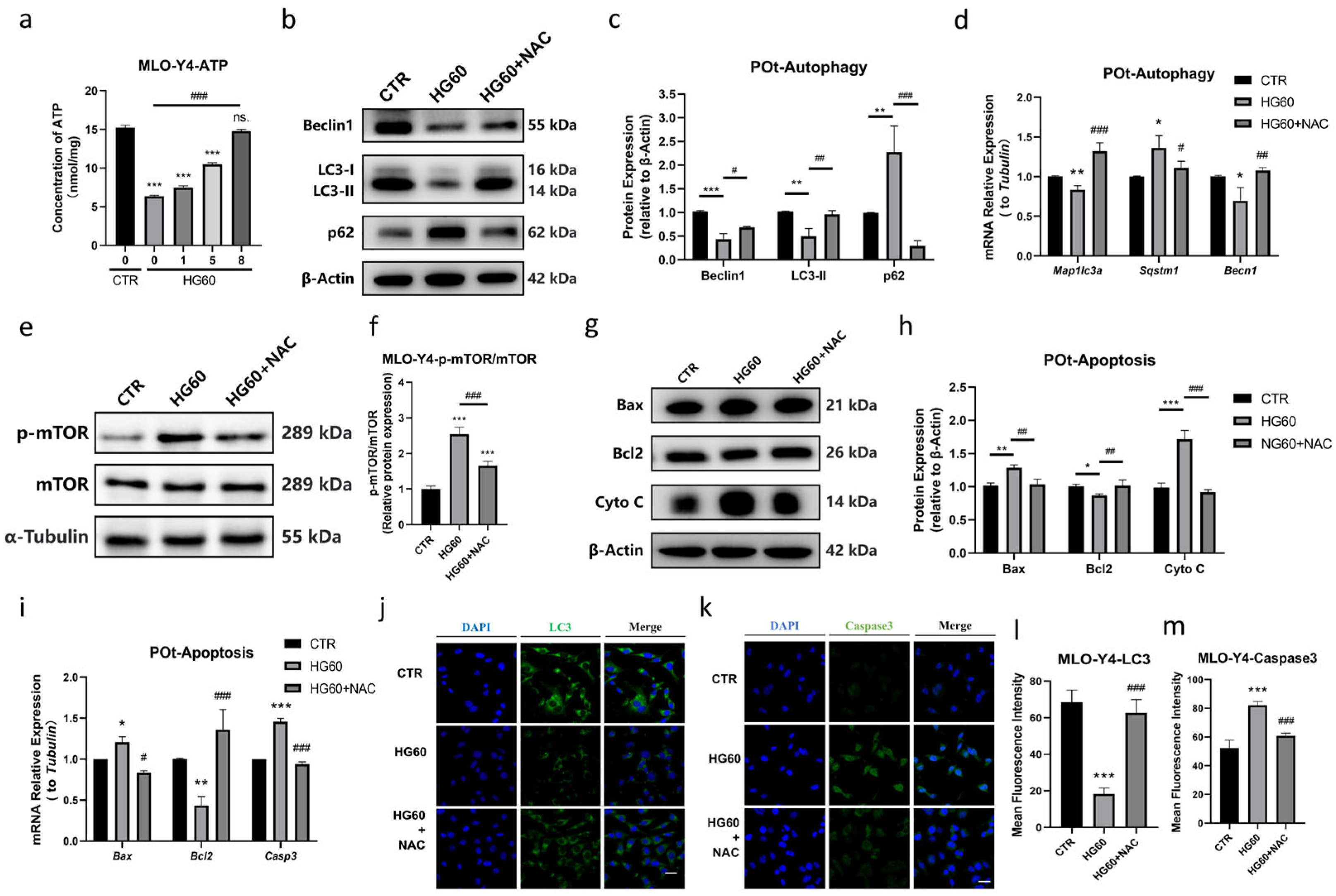 Antioxidants 14 01306 g004