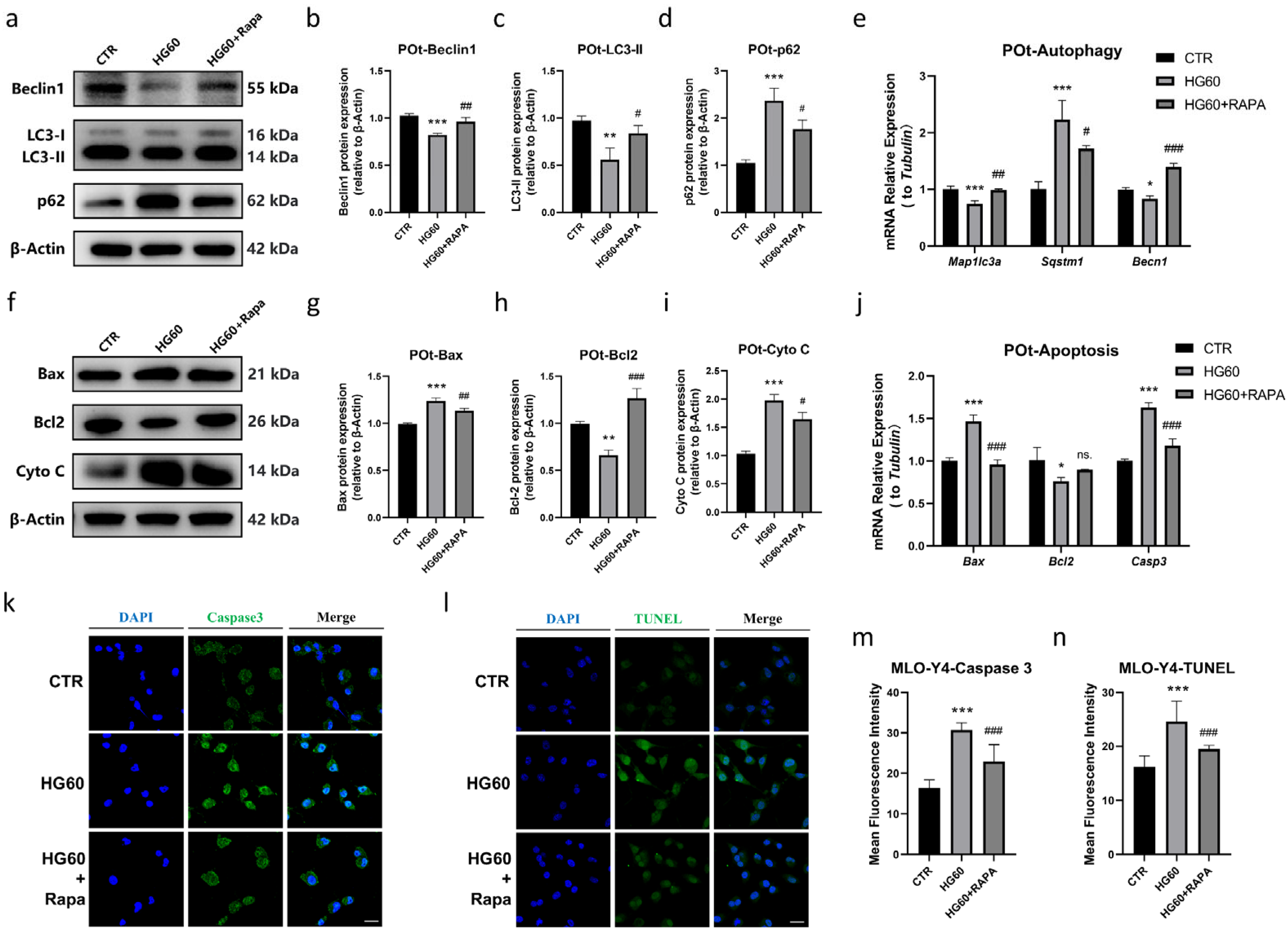 Antioxidants 14 01306 g005