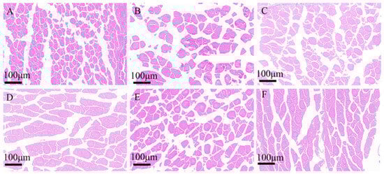 Antioxidants 14 01309 g004