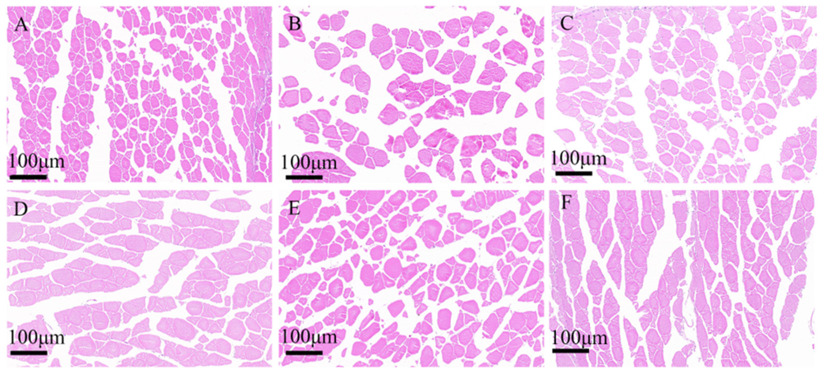 Antioxidants 14 01309 g004