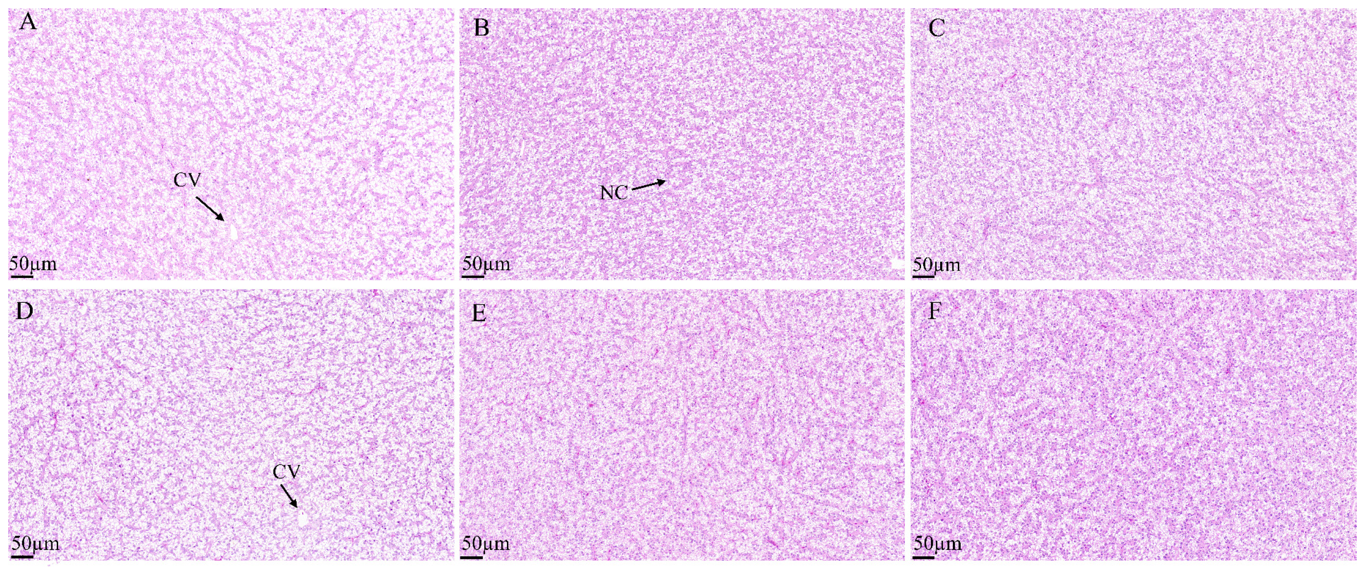 Antioxidants 14 01309 g006