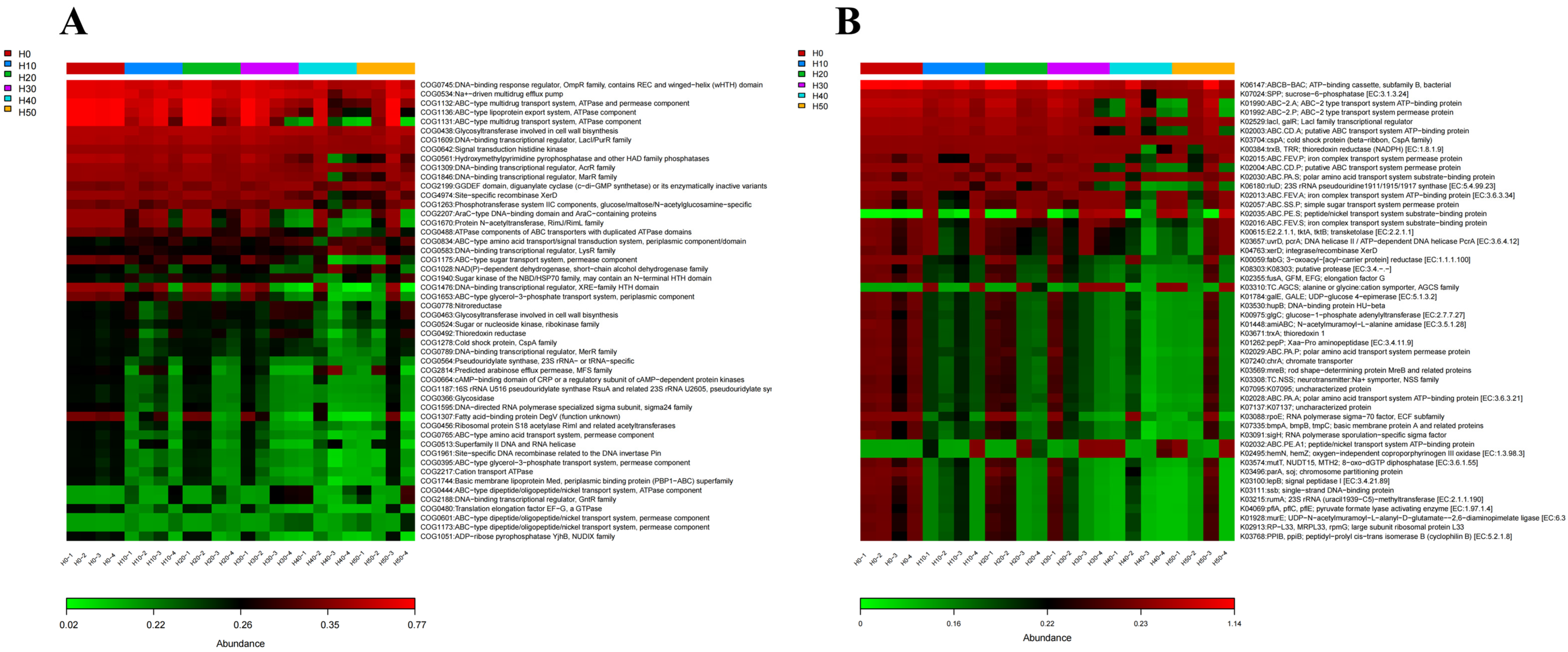Antioxidants 14 01309 g010