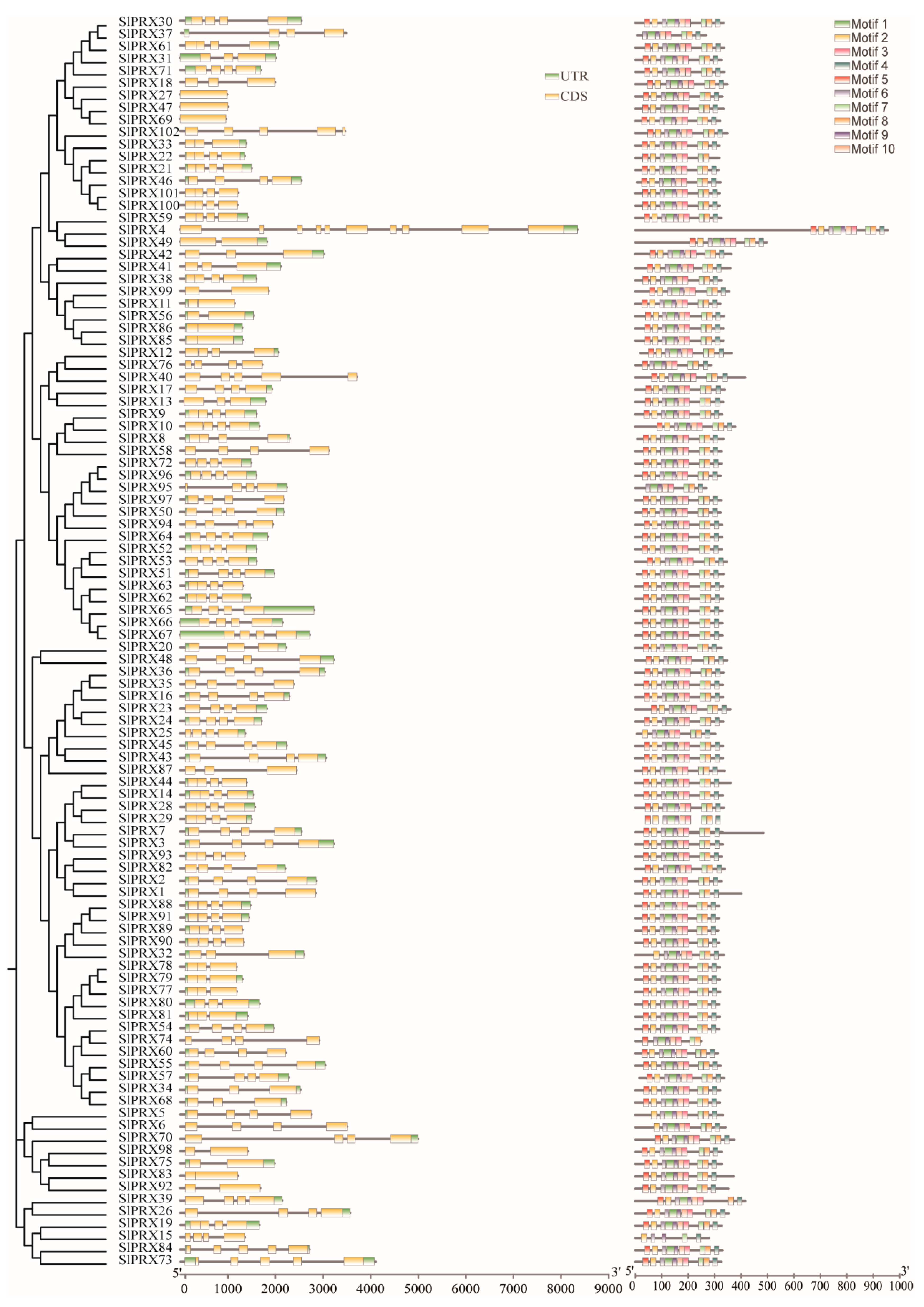 Antioxidants 14 01310 g003