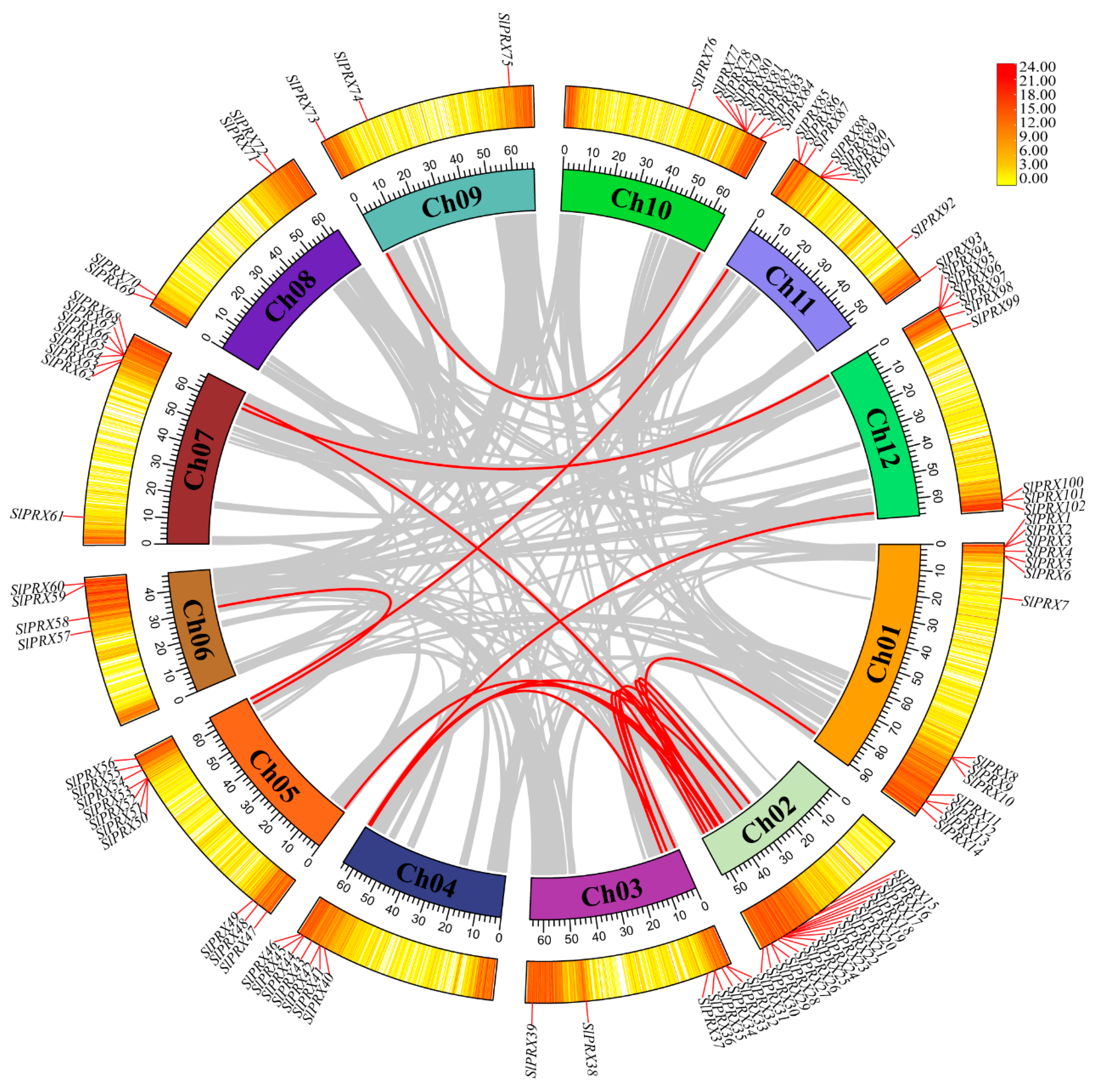 Antioxidants 14 01310 g005