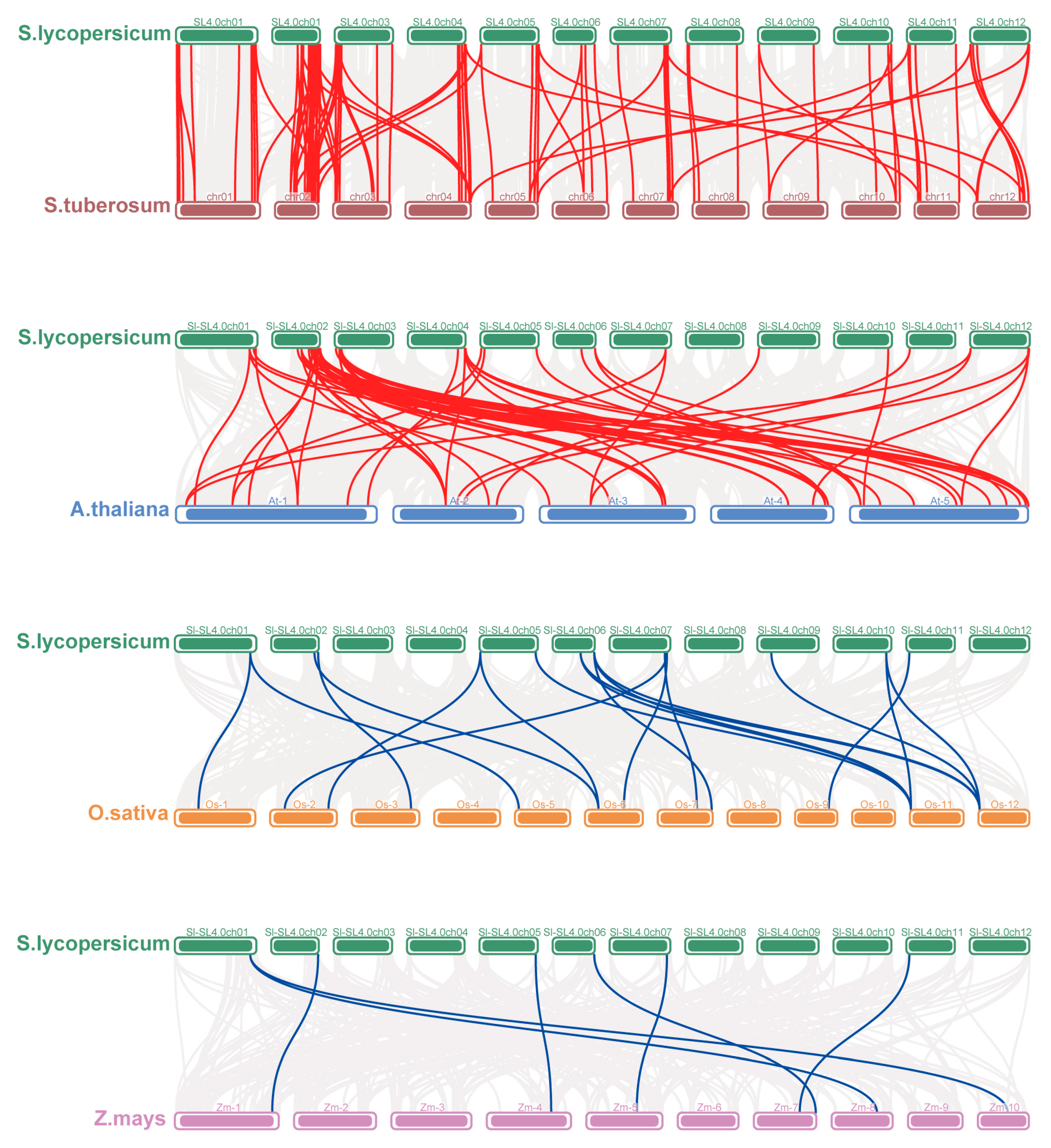 Antioxidants 14 01310 g006