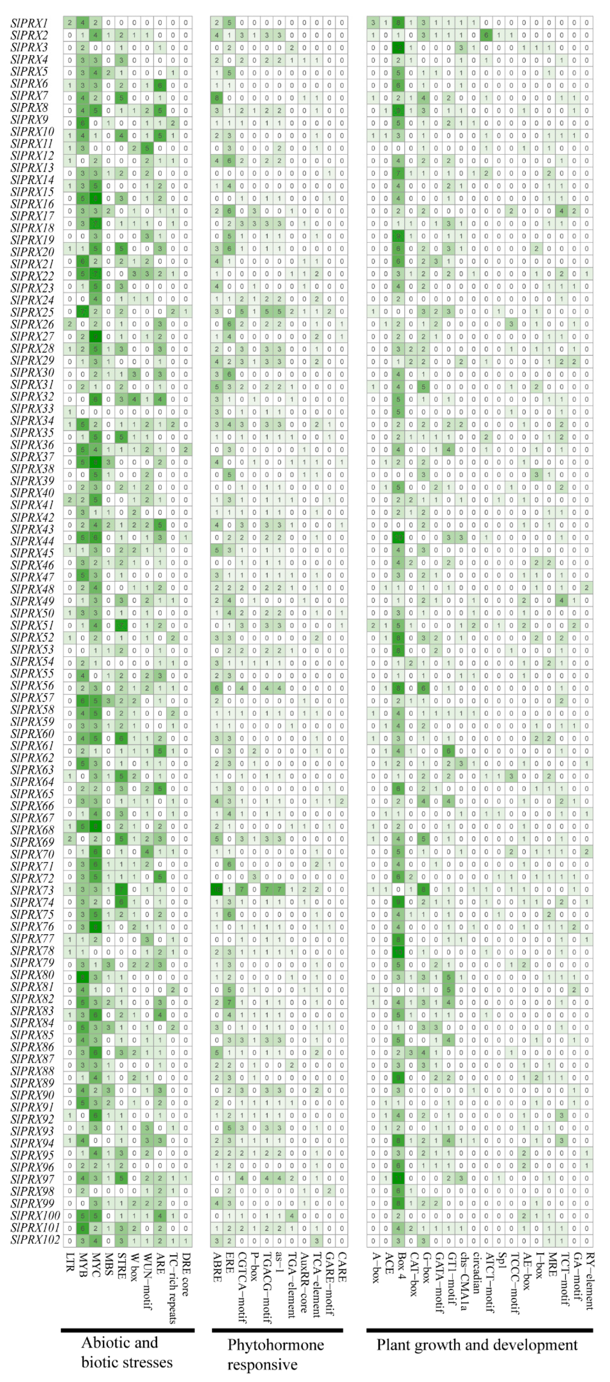 Antioxidants 14 01310 g007