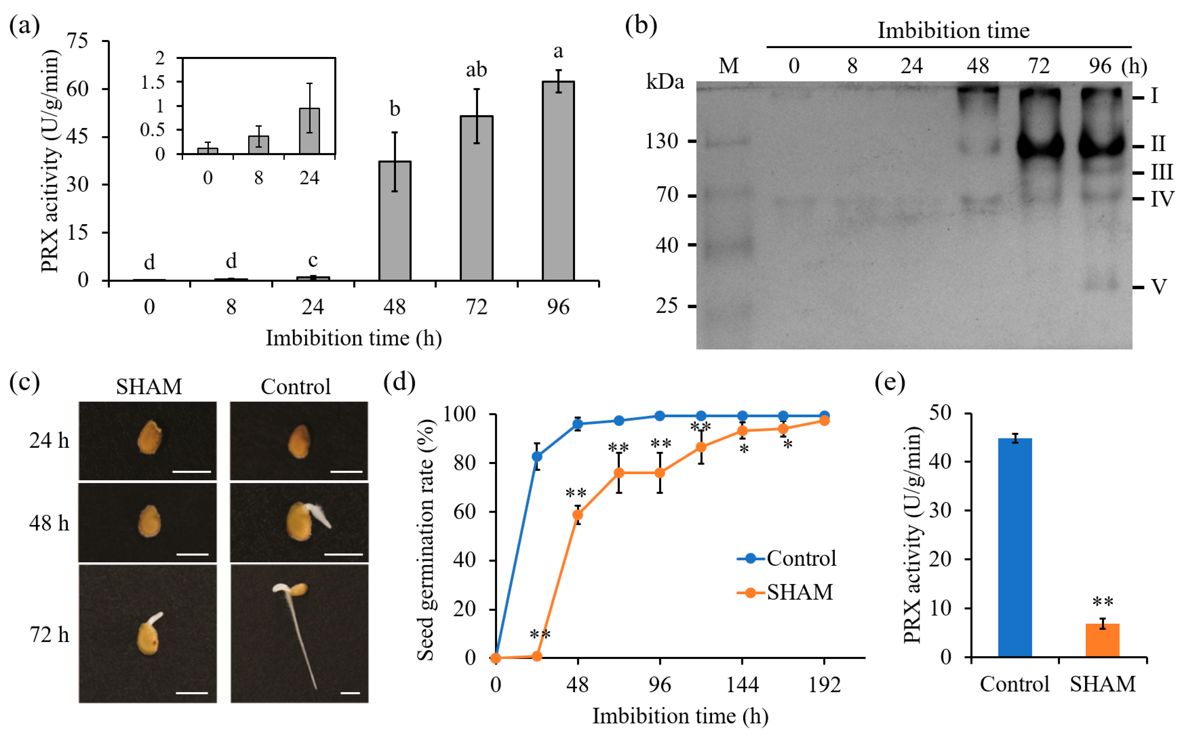 Antioxidants 14 01310 g008