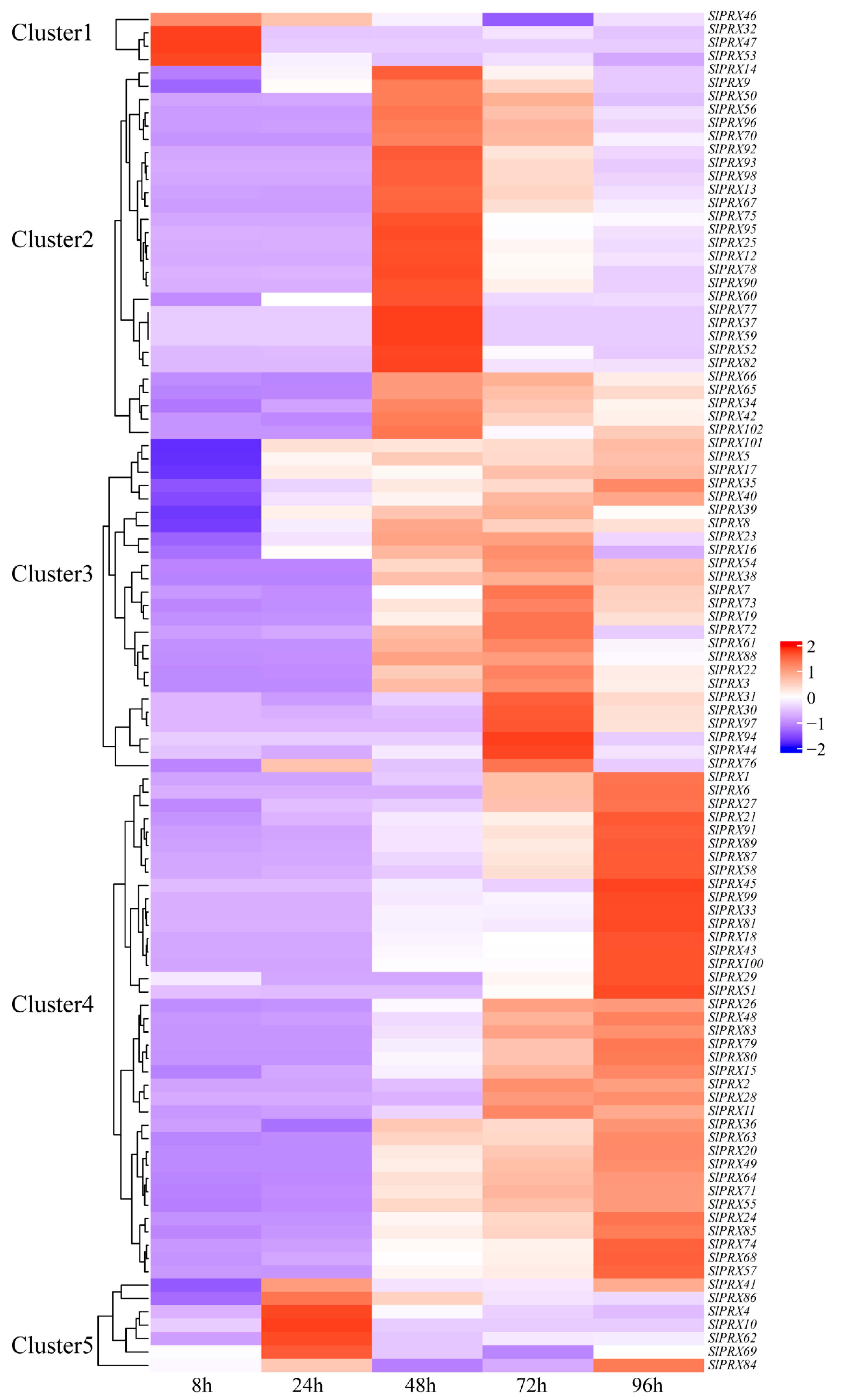 Antioxidants 14 01310 g009