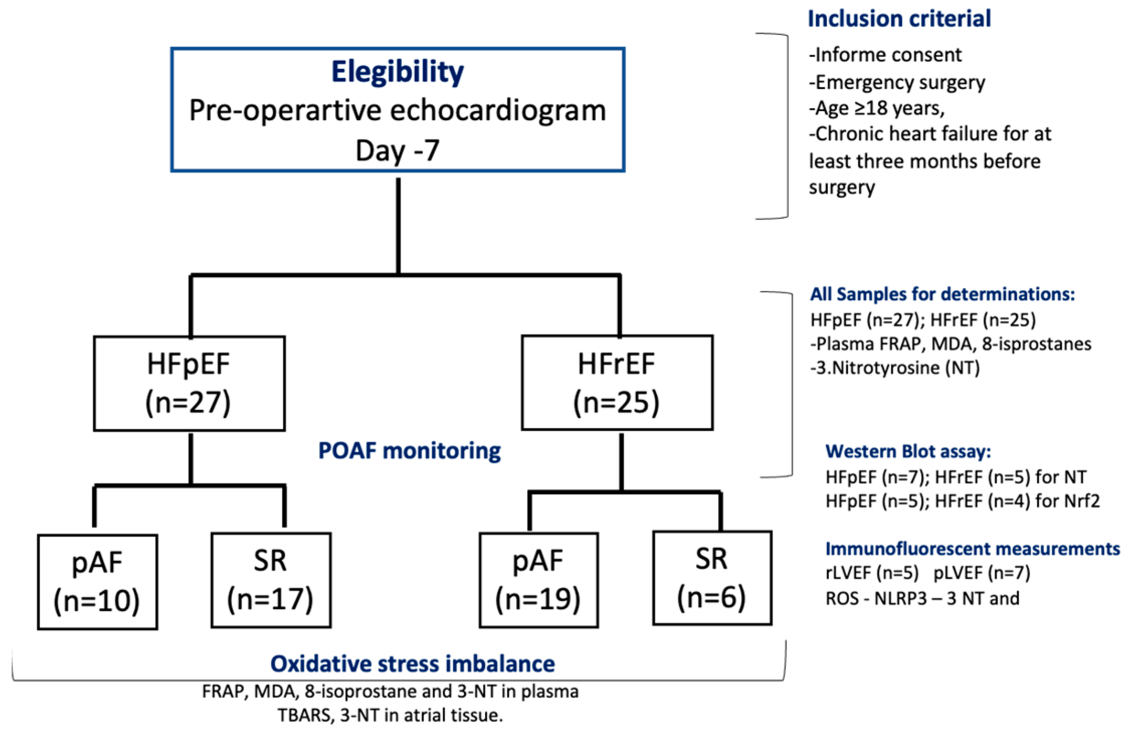 Antioxidants 14 01311 g001