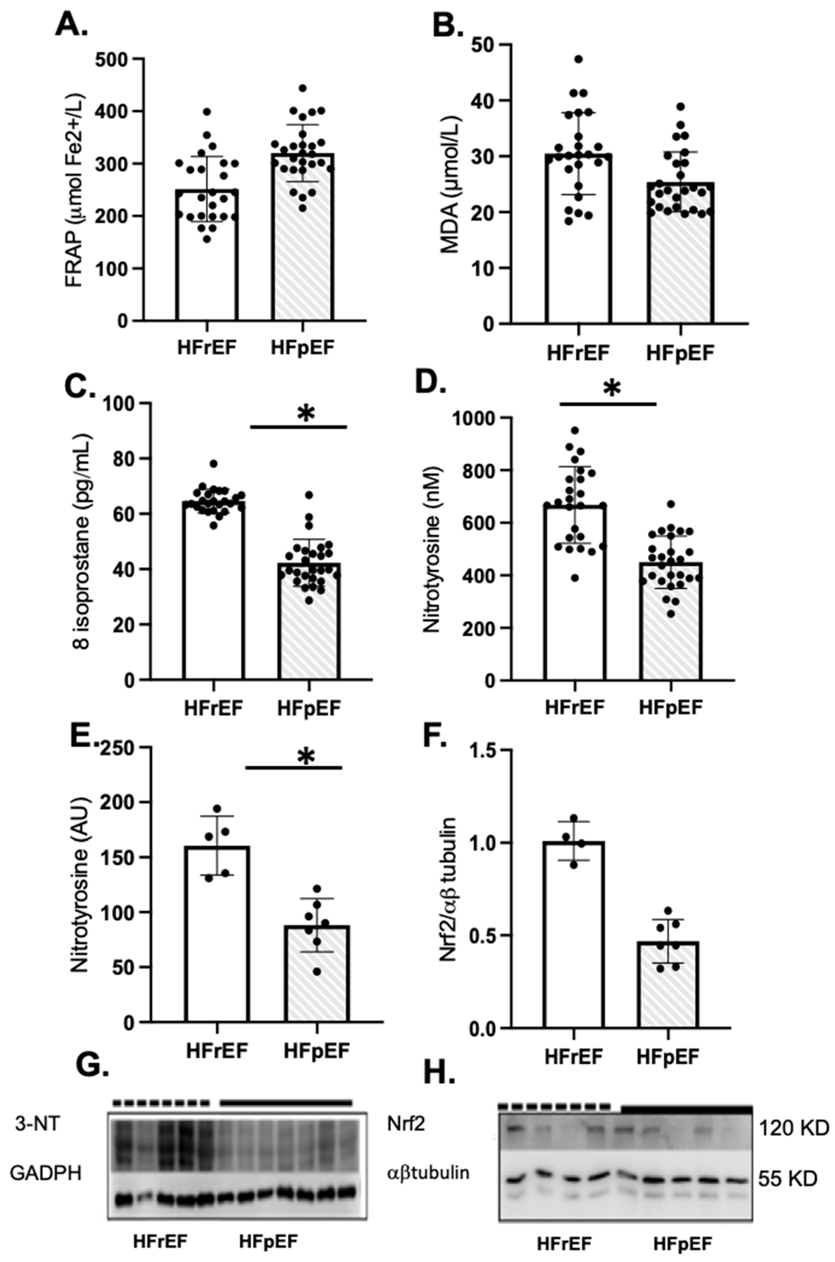 Antioxidants 14 01311 g002
