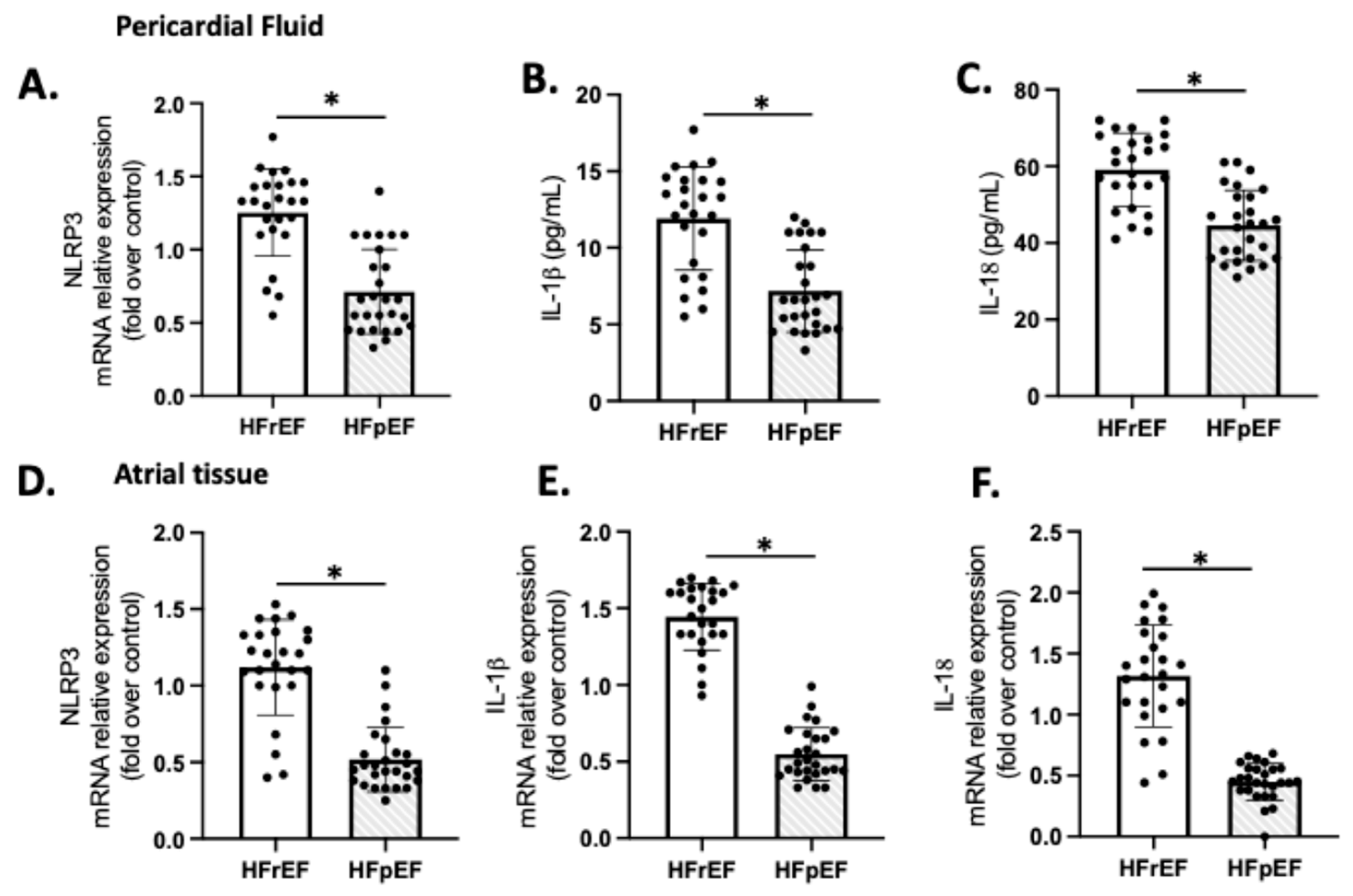 Antioxidants 14 01311 g004