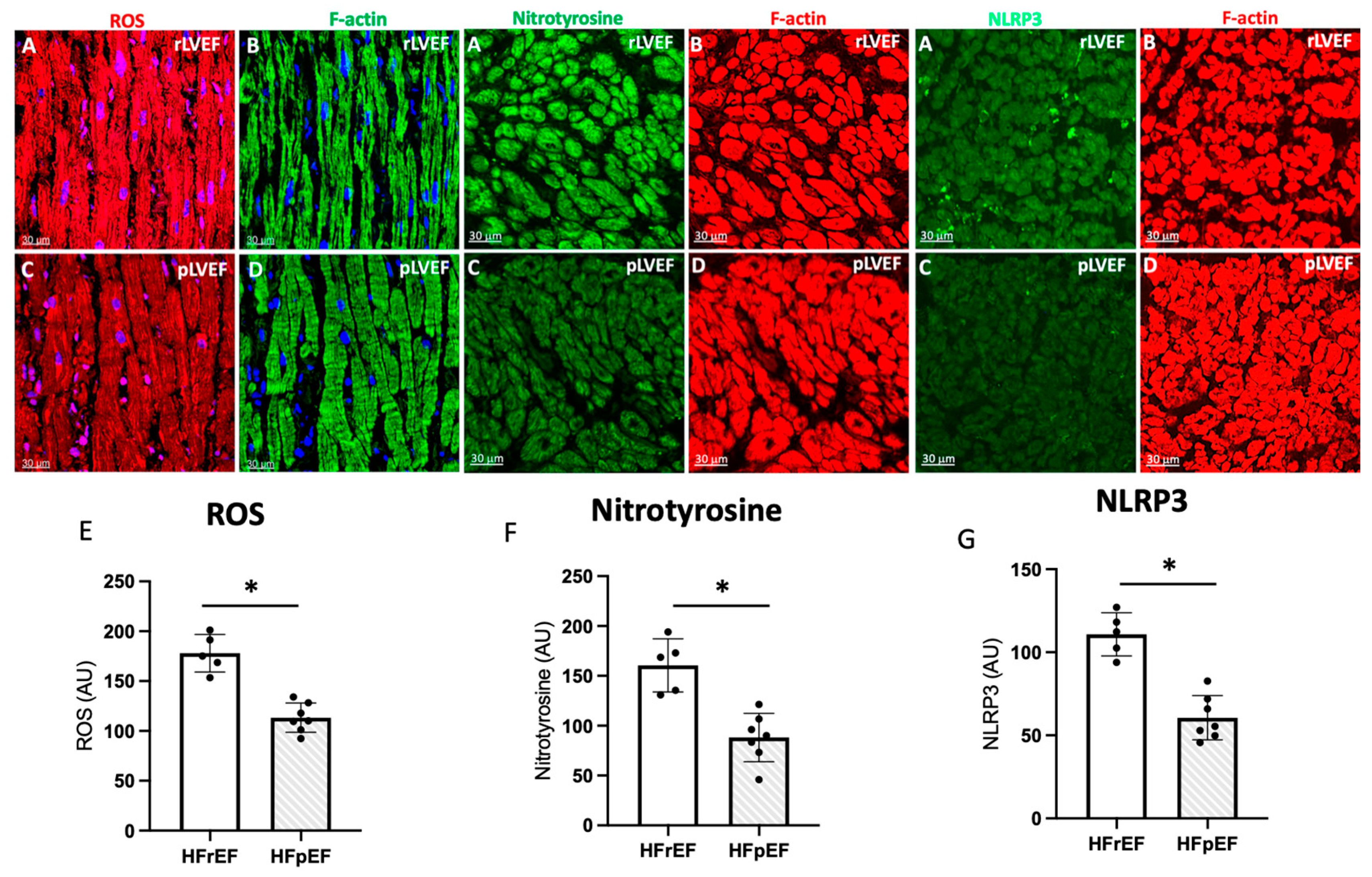Antioxidants 14 01311 g006