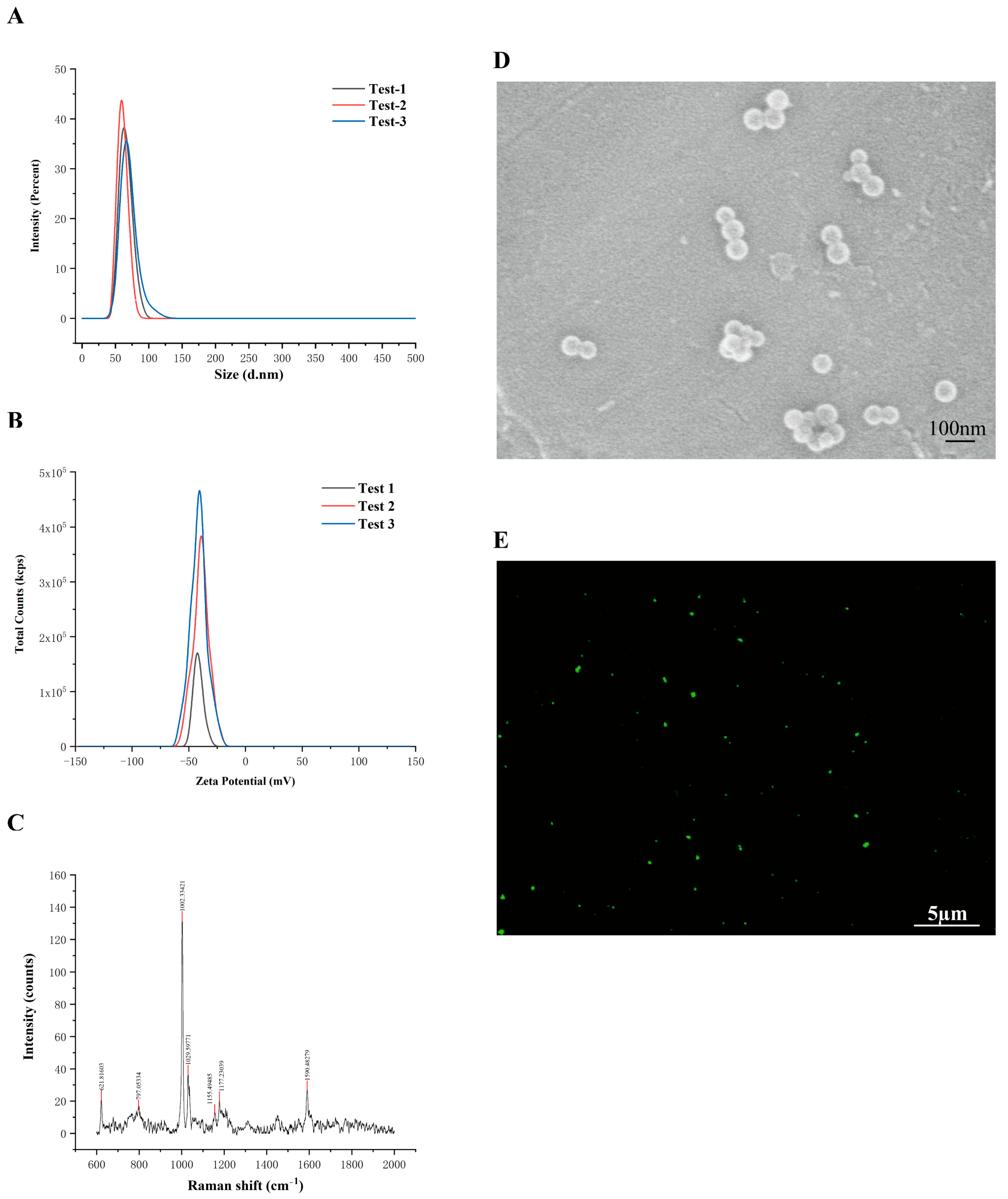 Antioxidants 14 01315 g001
