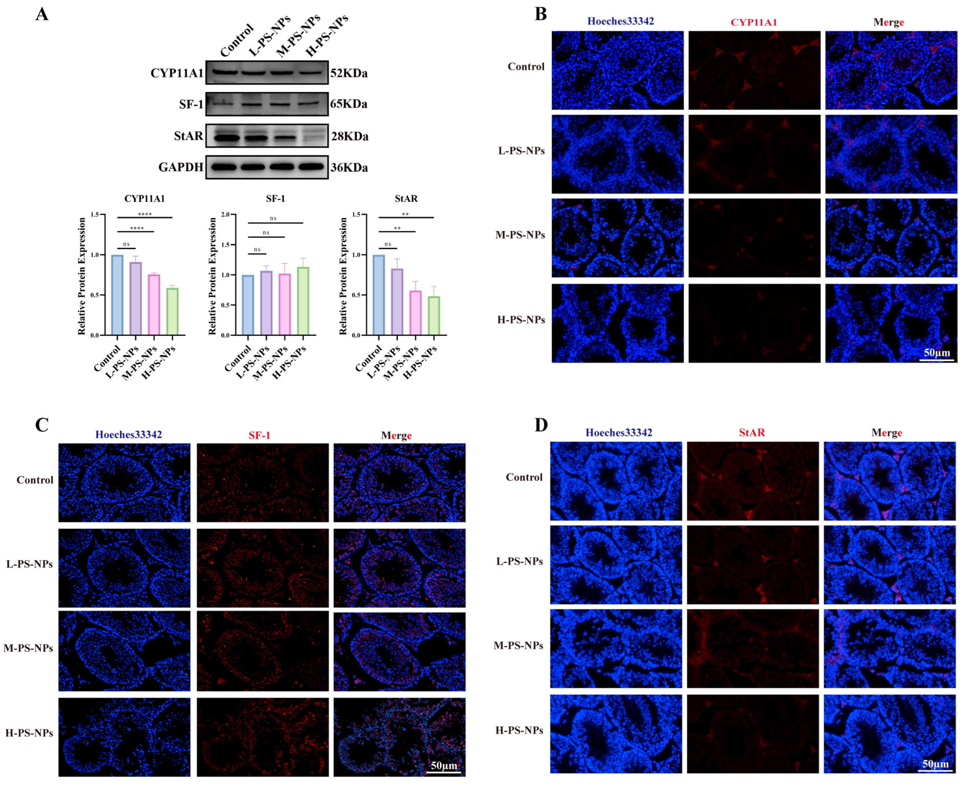 Antioxidants 14 01315 g006