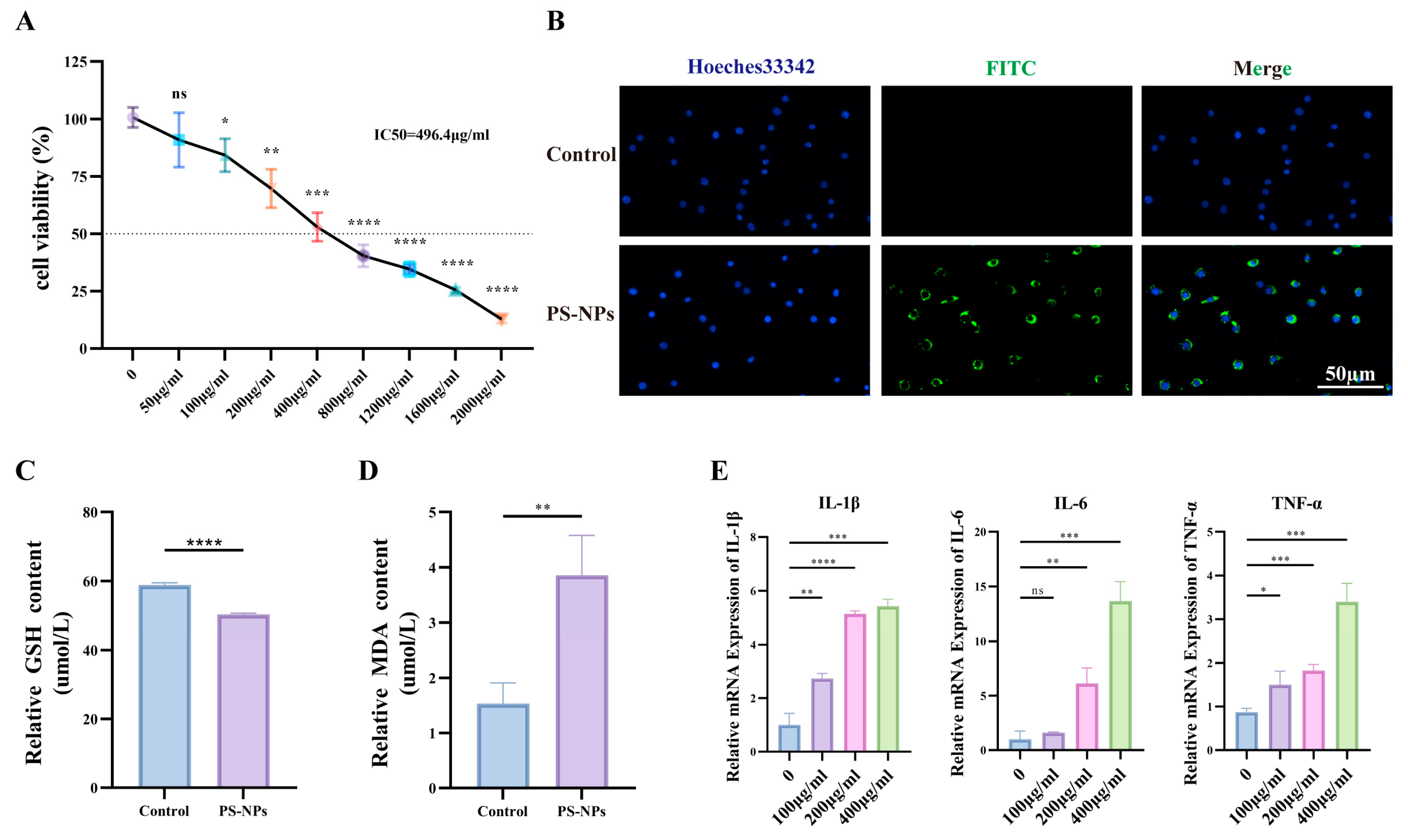 Antioxidants 14 01315 g007