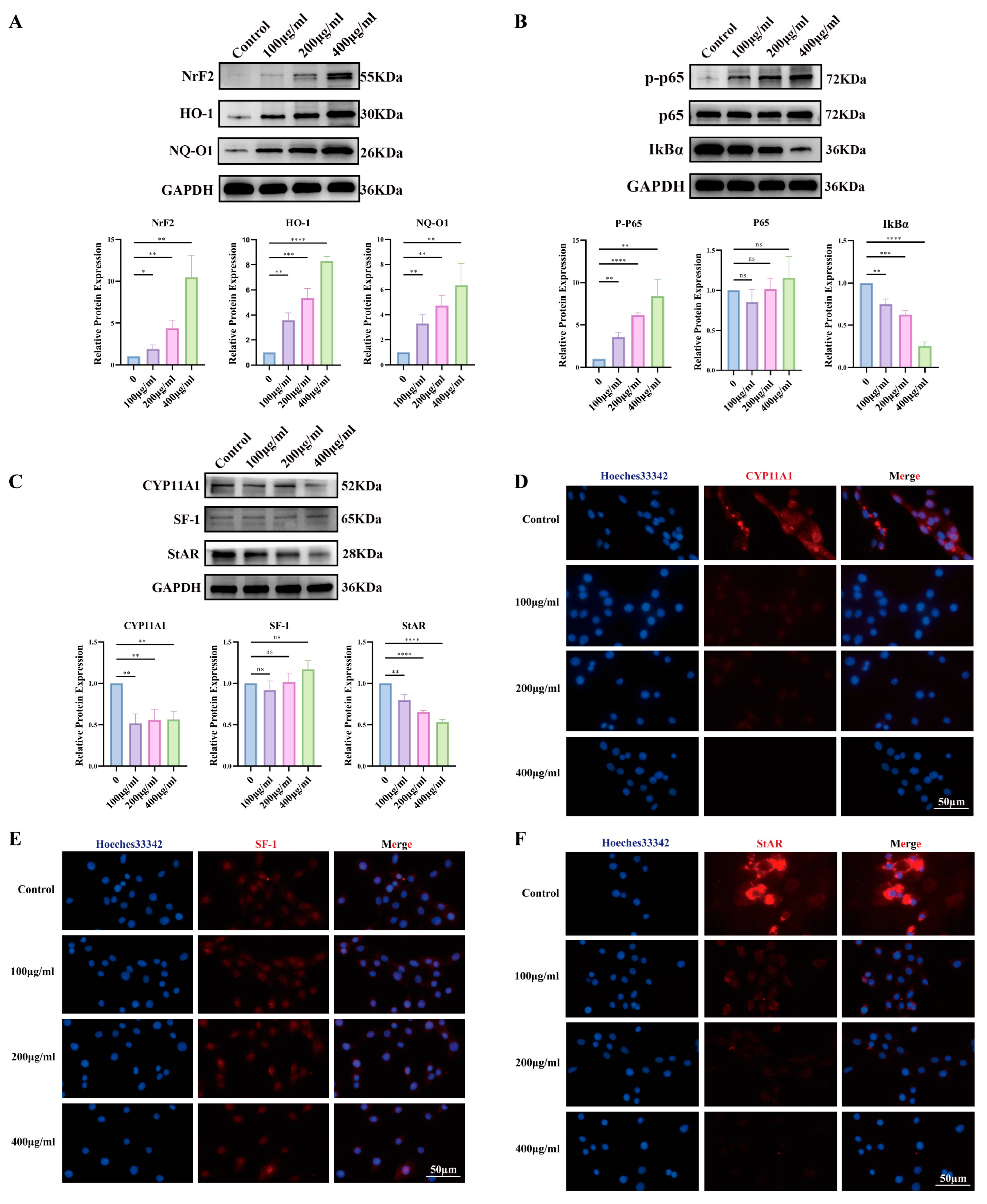 Antioxidants 14 01315 g008