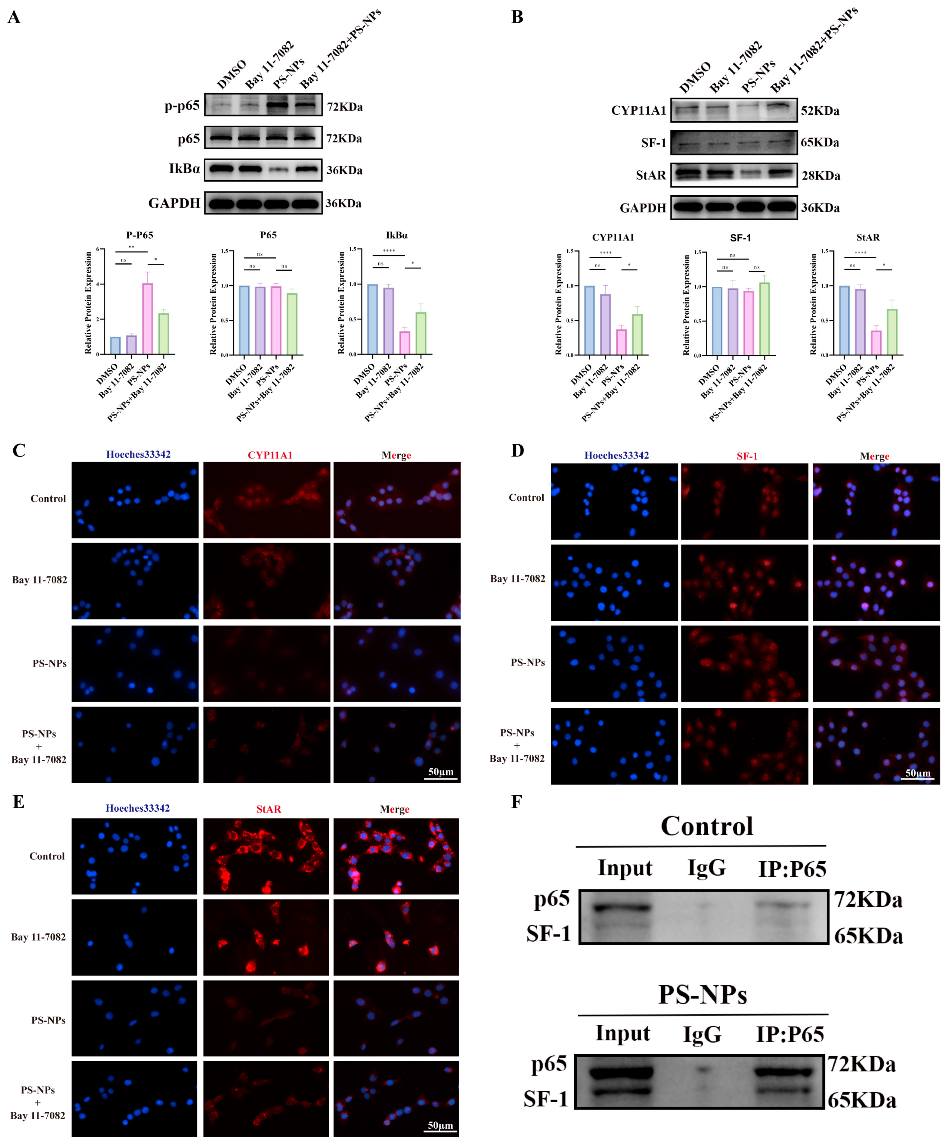 Antioxidants 14 01315 g010