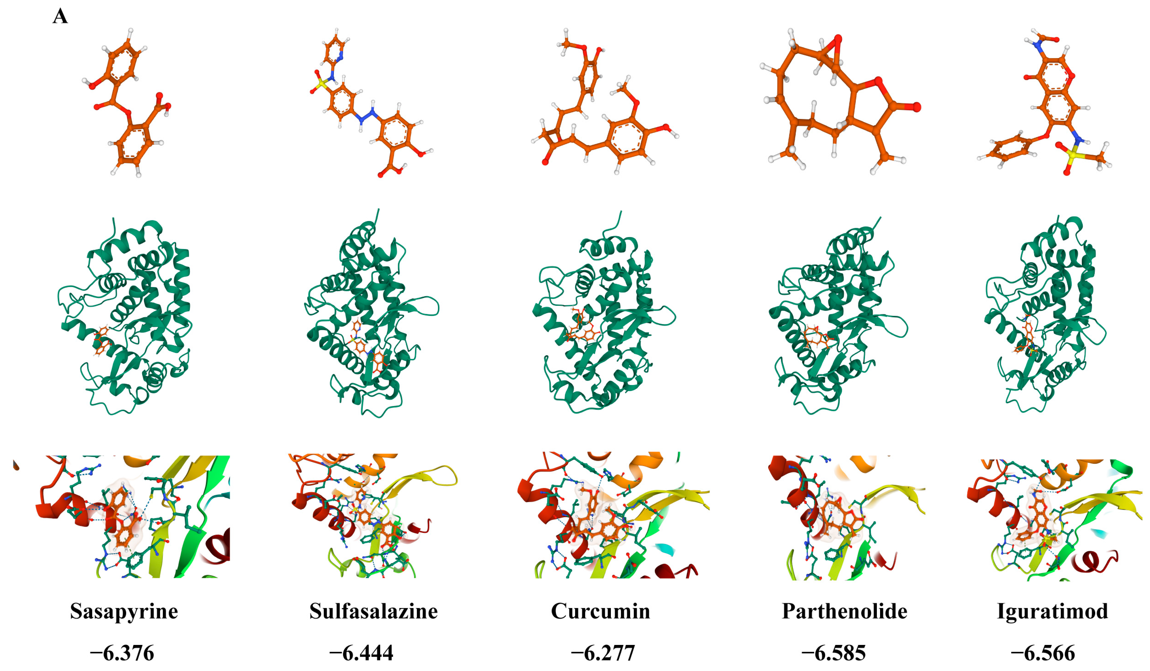 Antioxidants 14 01315 g012a
