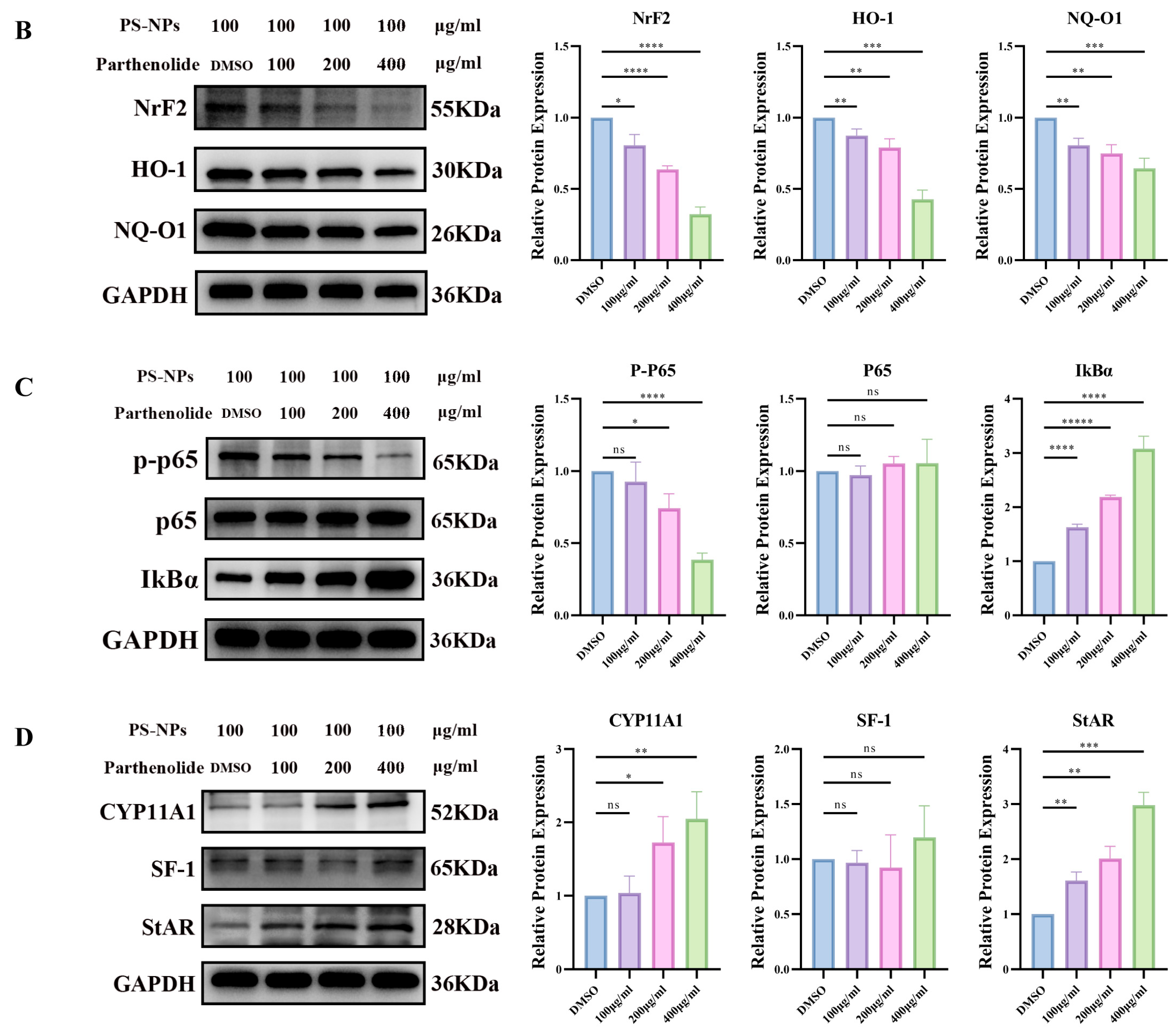 Antioxidants 14 01315 g012b