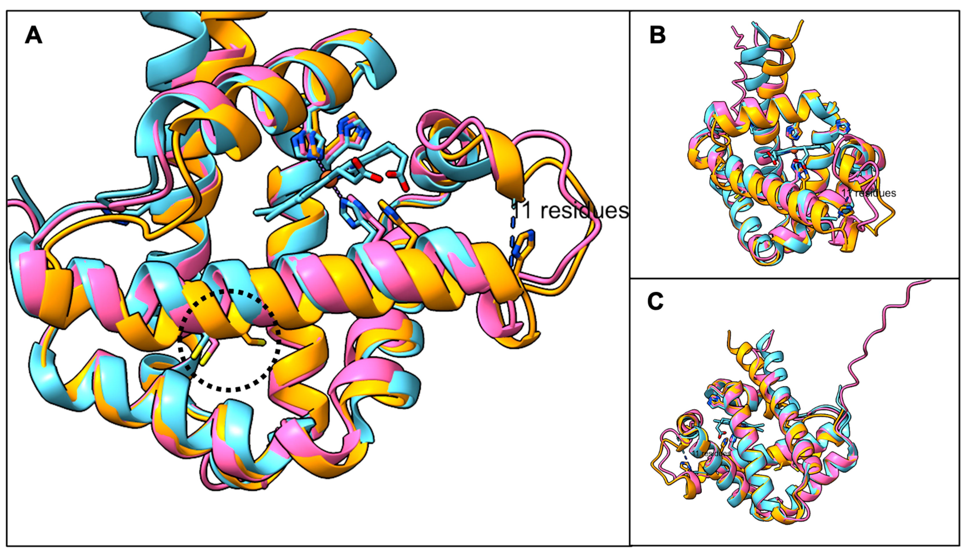 Antioxidants 14 01317 g001