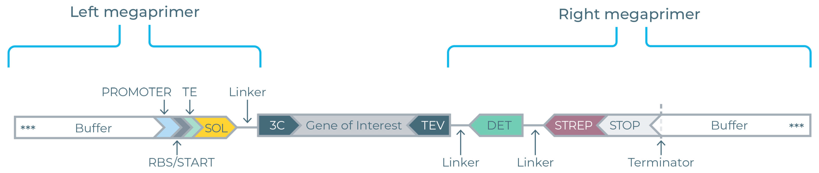 Antioxidants 14 01317 g002