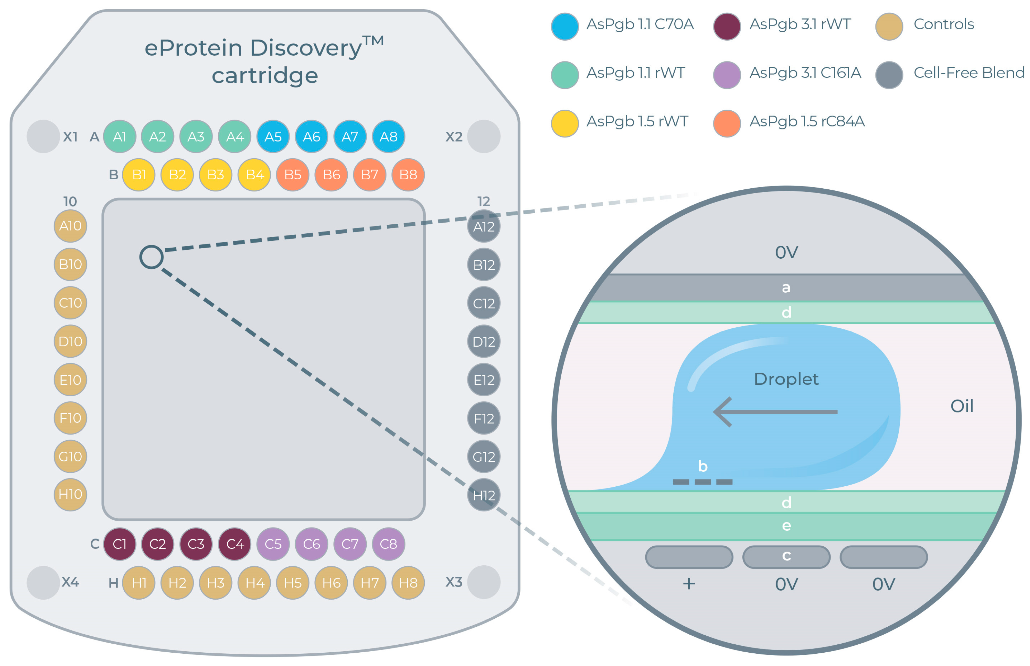 Antioxidants 14 01317 g004