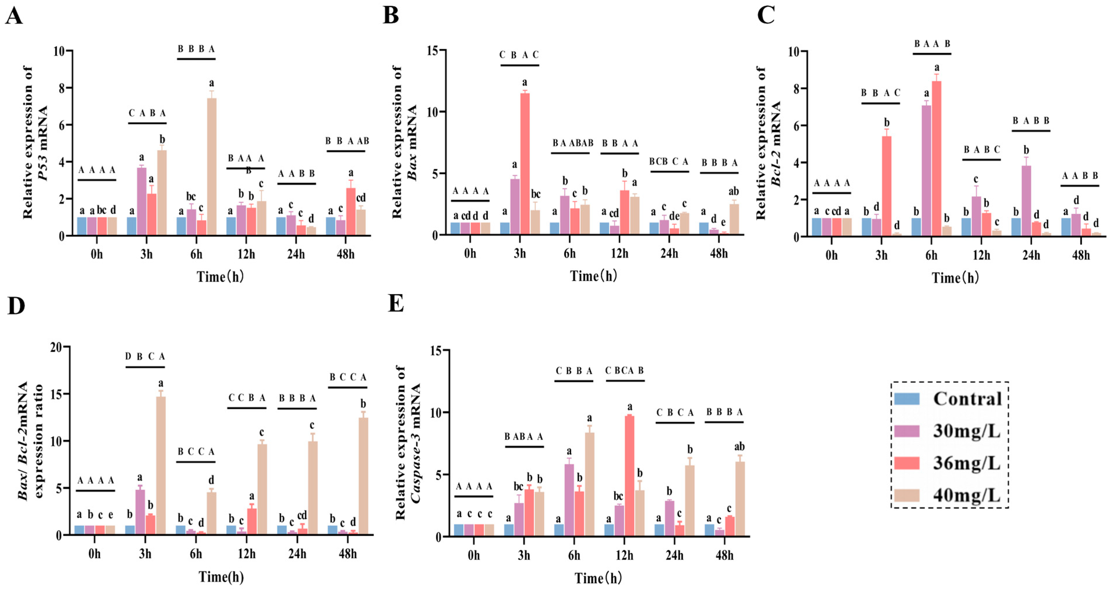 Antioxidants 14 01318 g004