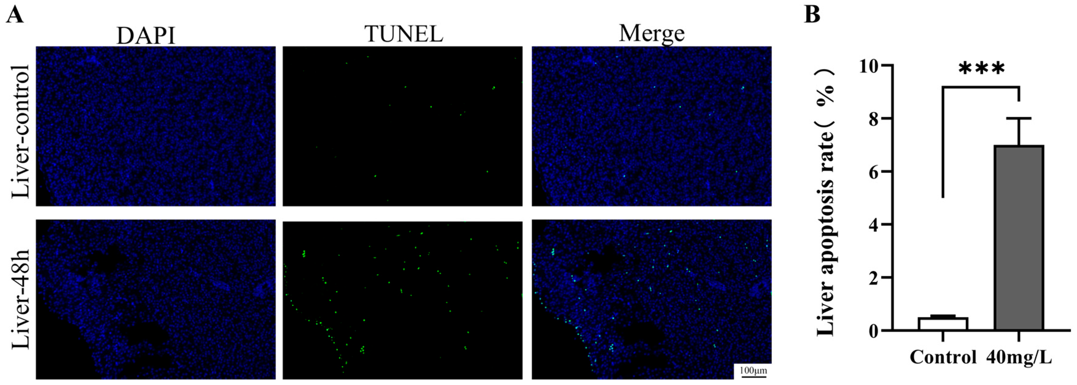 Antioxidants 14 01318 g005