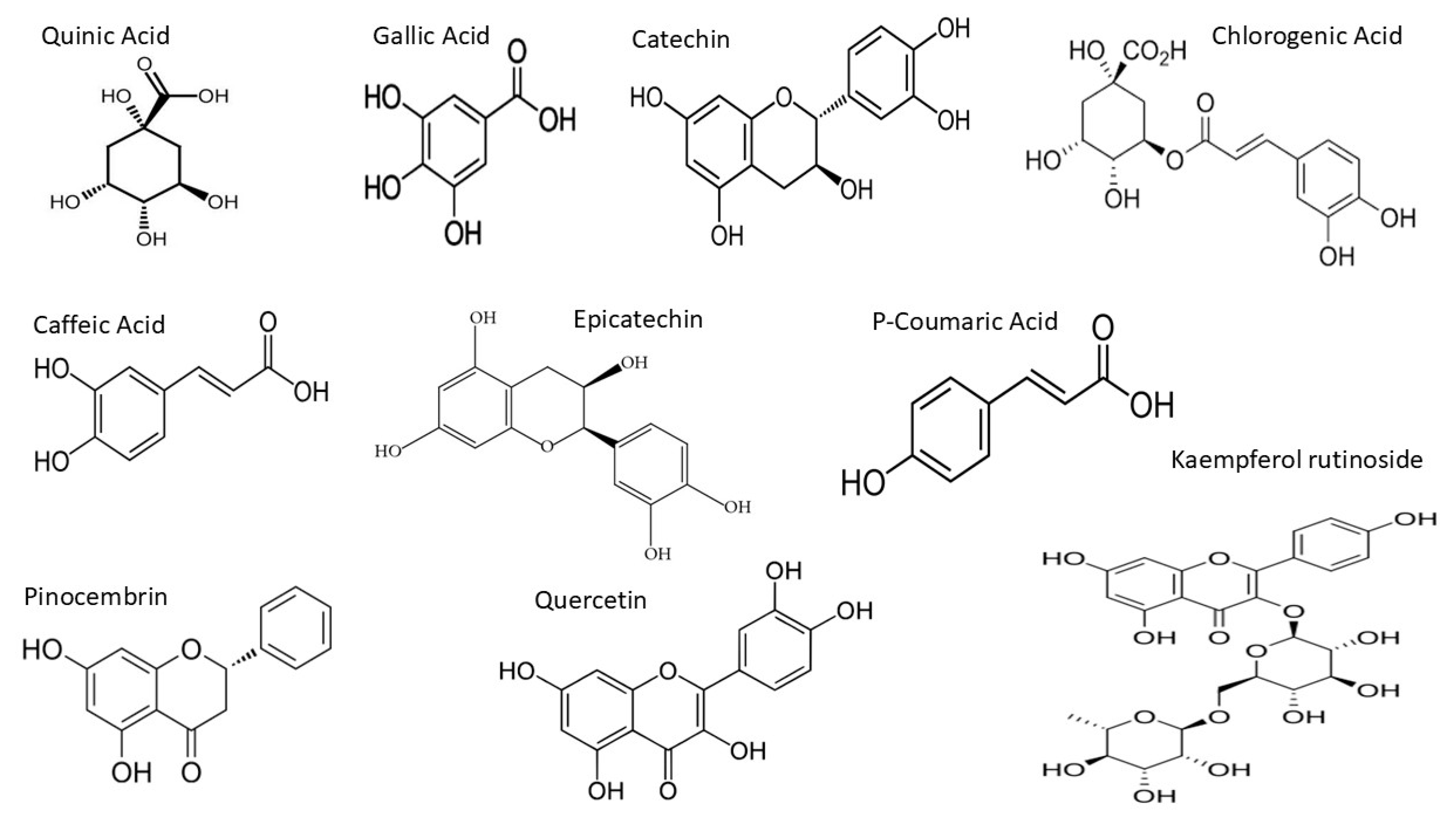 Antioxidants 14 01319 g006