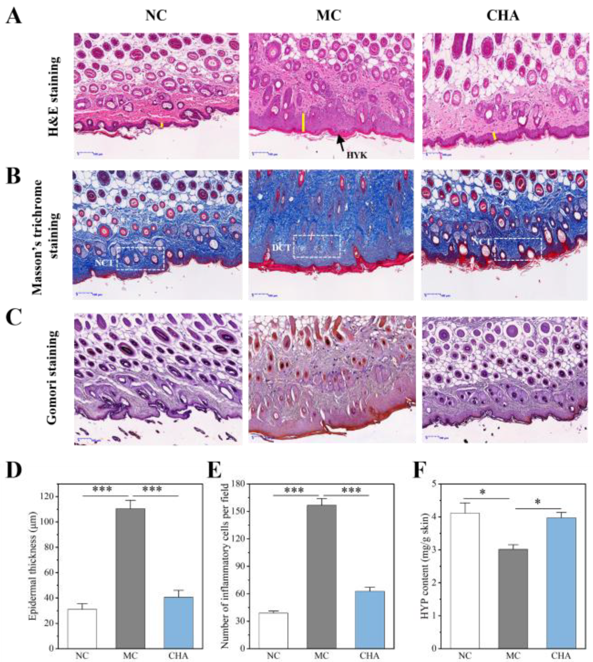Antioxidants 14 01320 g001