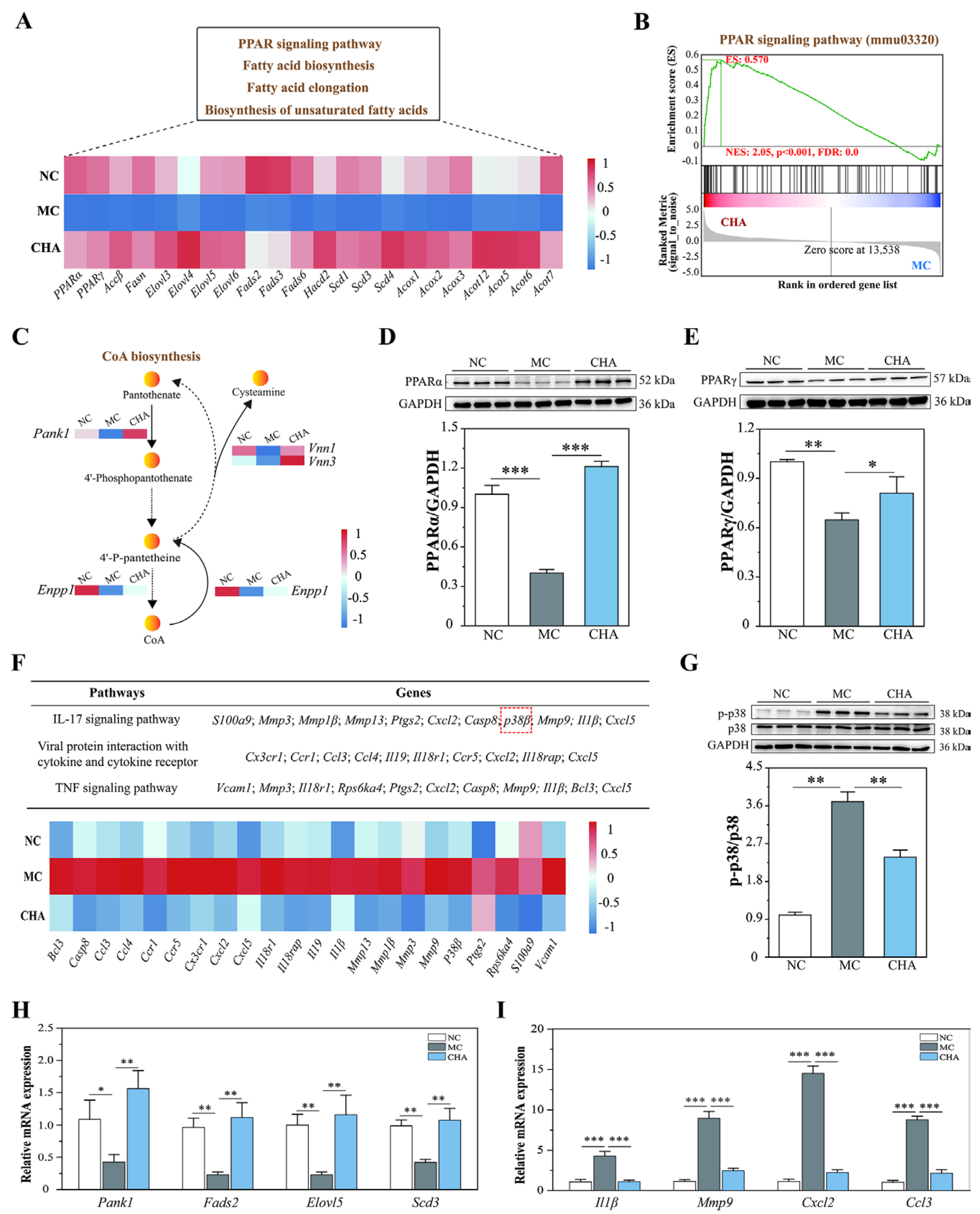 Antioxidants 14 01320 g003