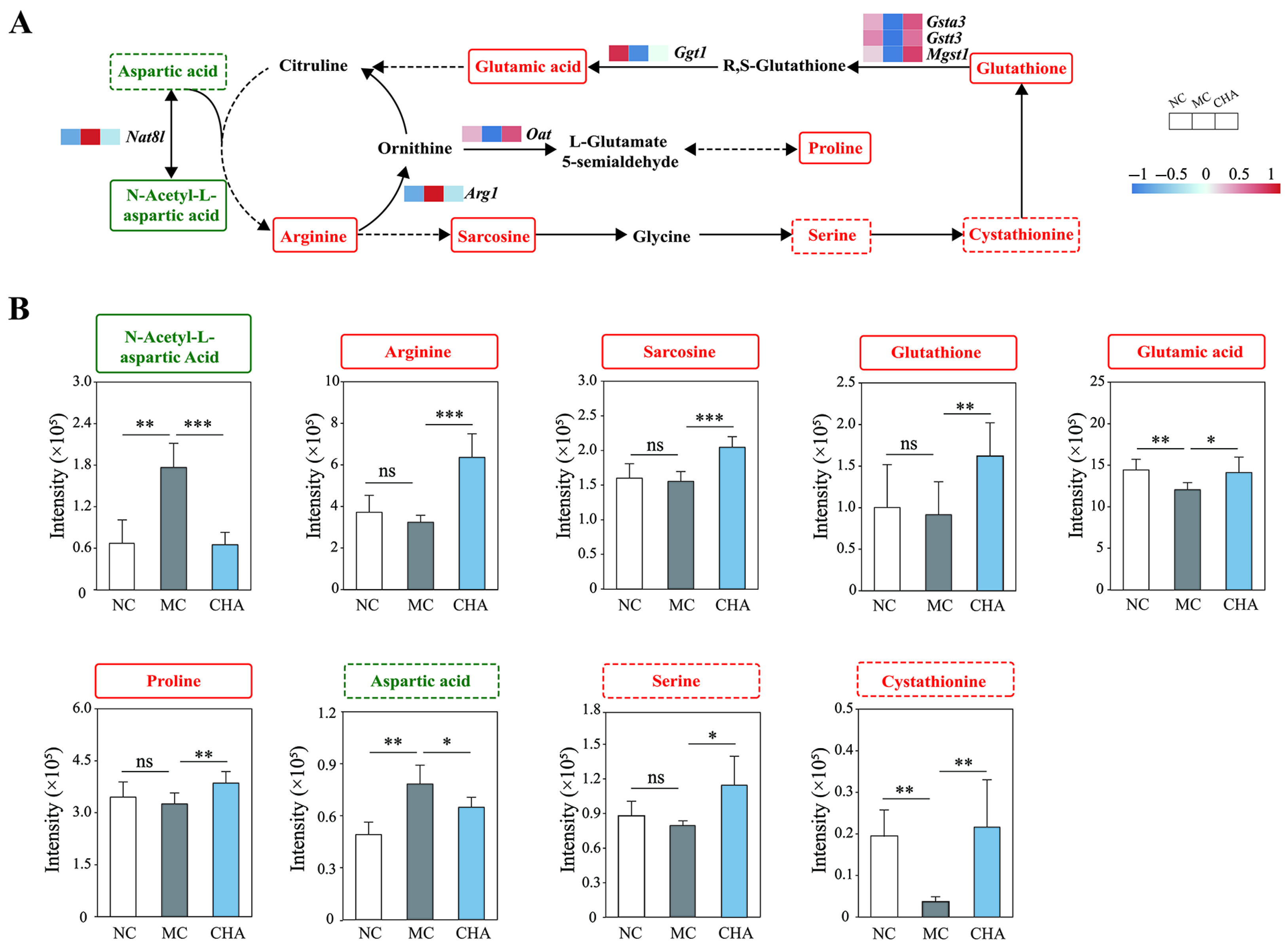 Antioxidants 14 01320 g005