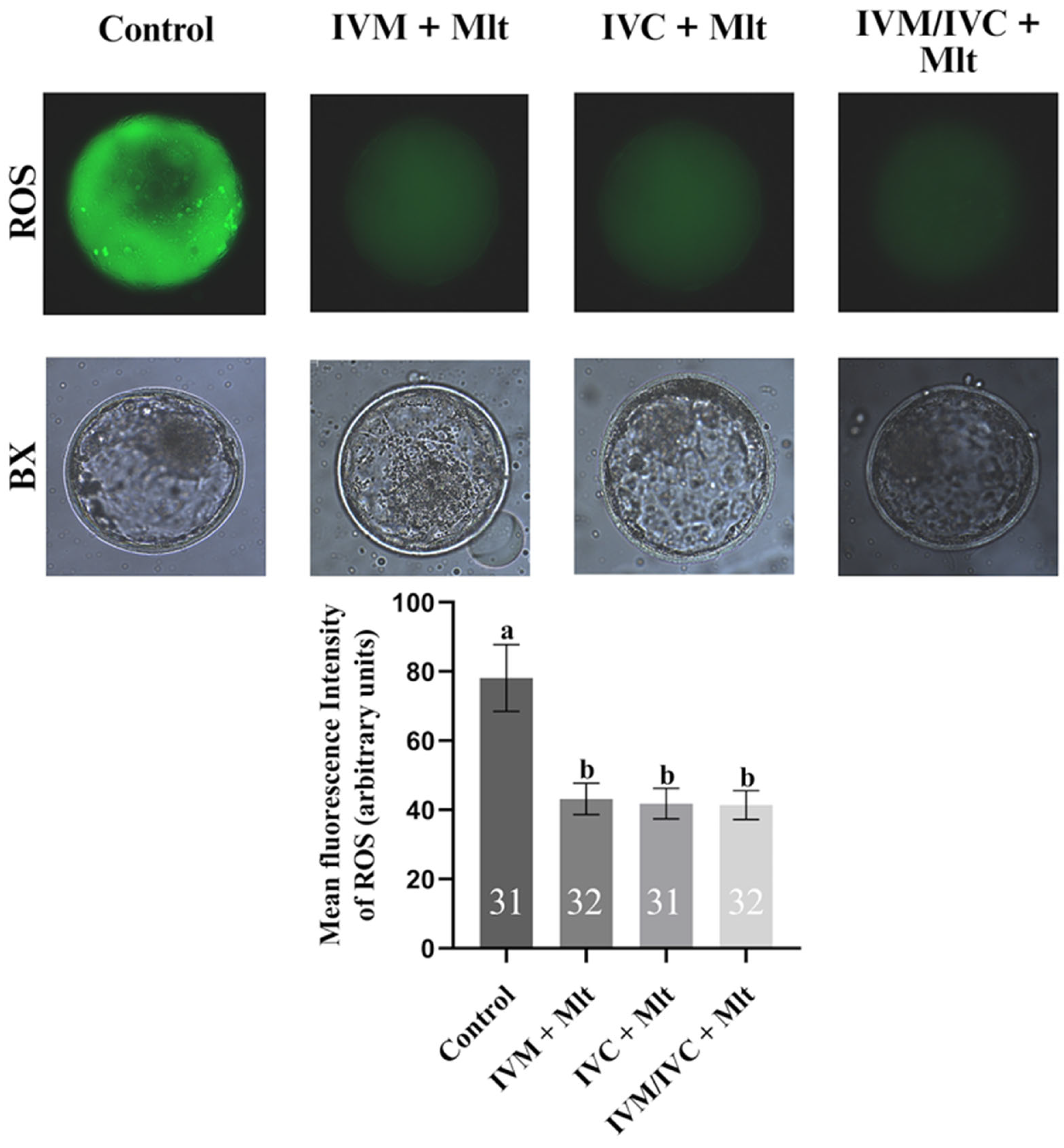 Antioxidants 14 01322 g001