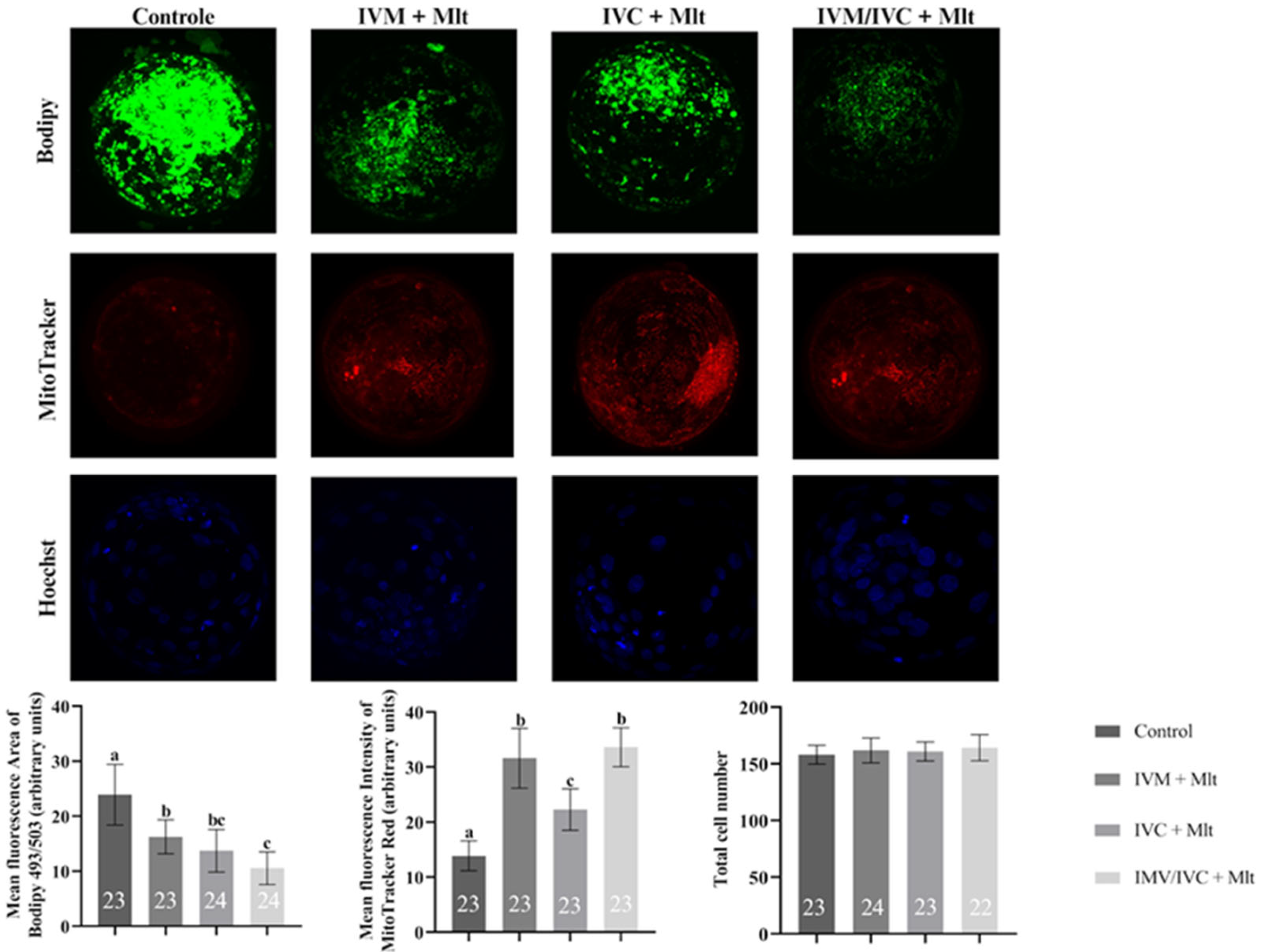 Antioxidants 14 01322 g002