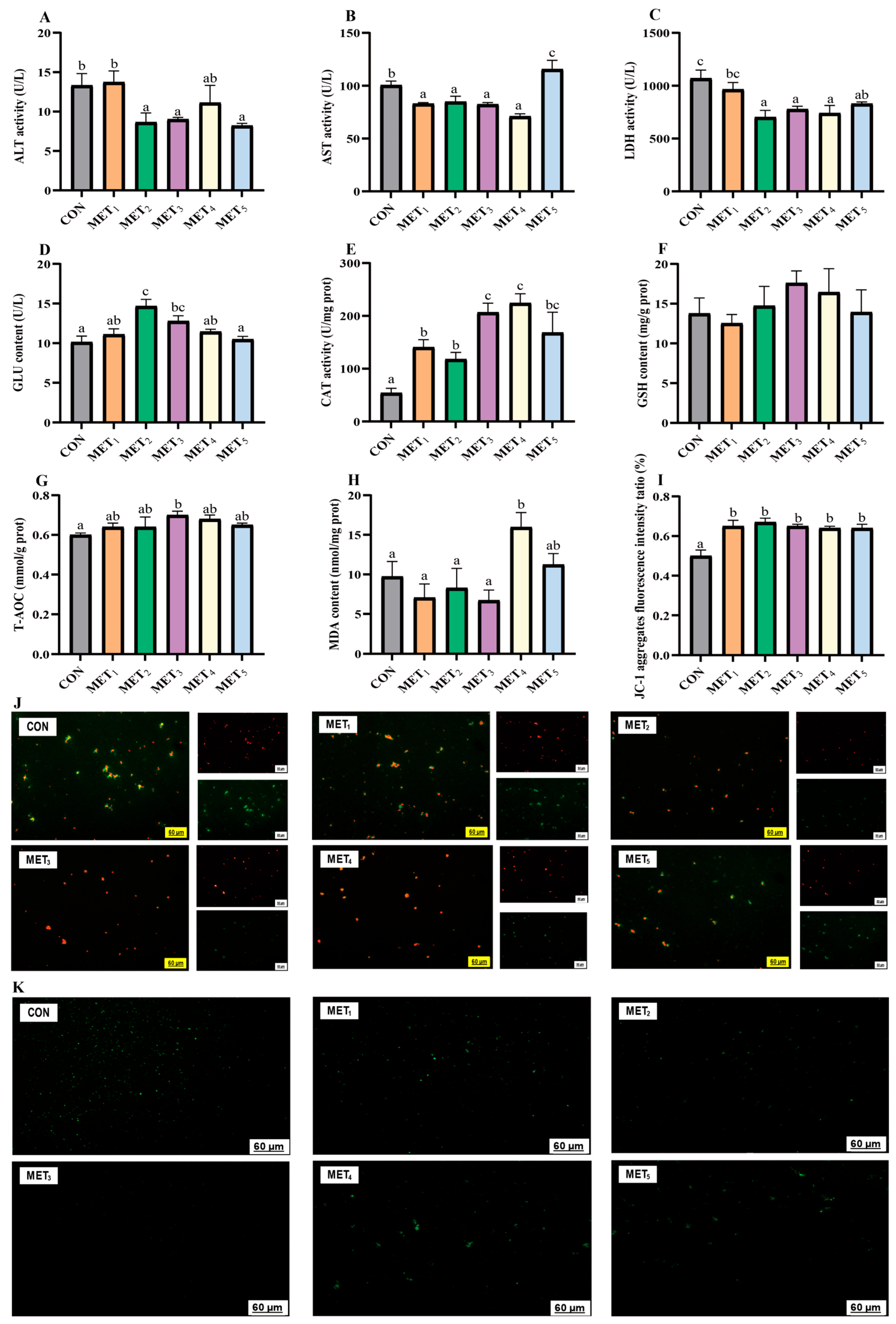 Antioxidants 14 01327 g002